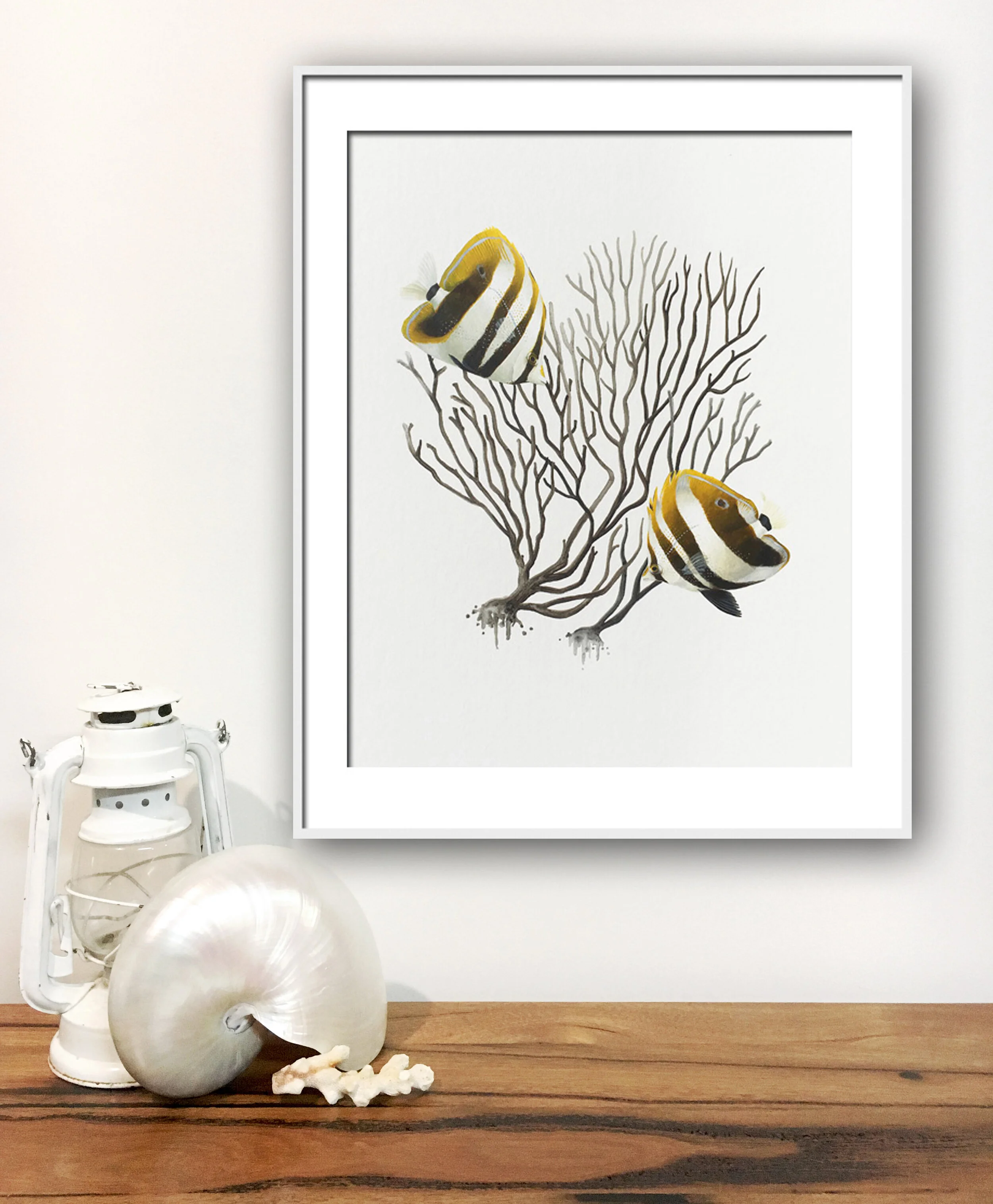 Highfin Coralfish in situ home print.jpg