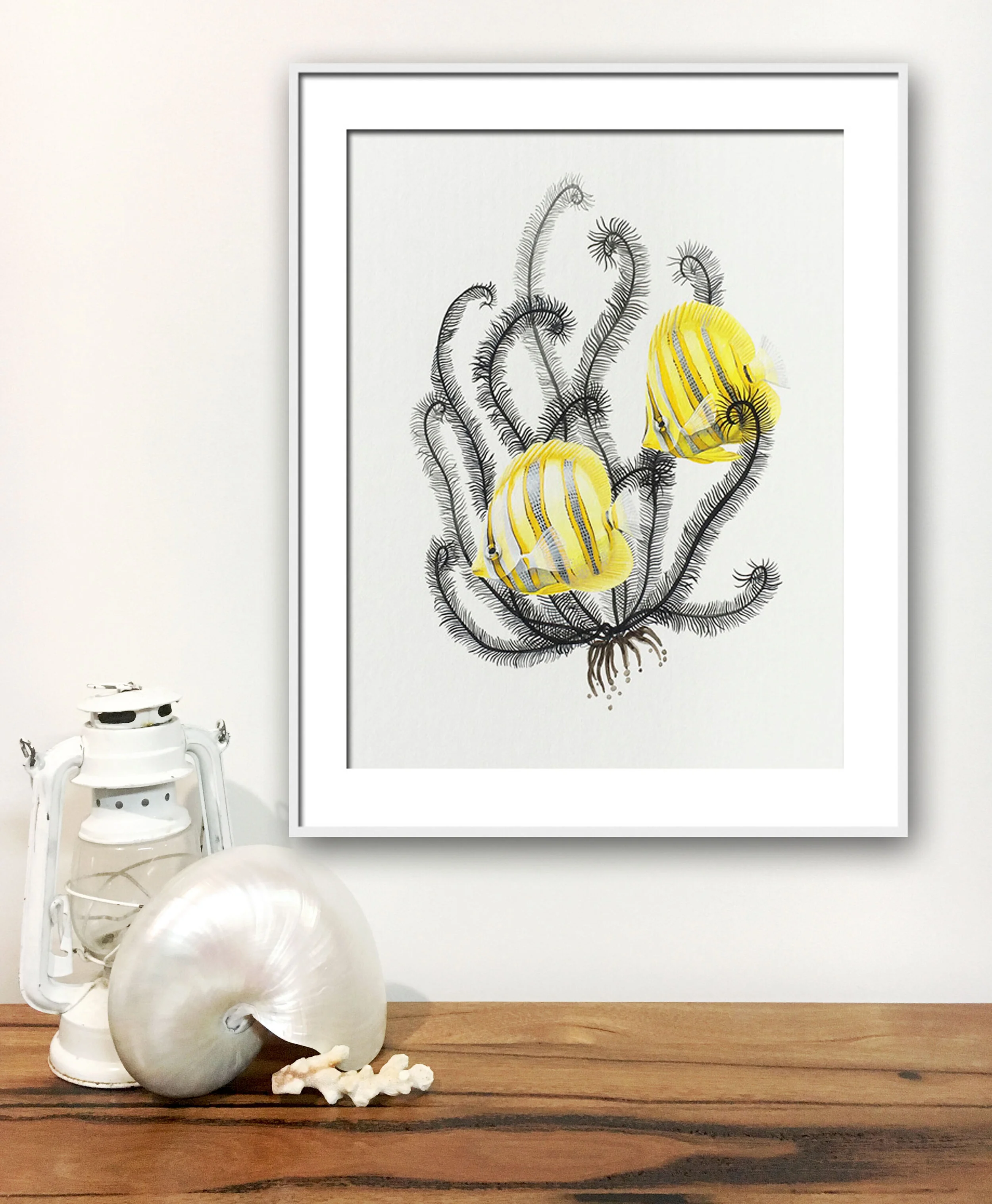 Rainfords Butterfly in situ home print.jpg