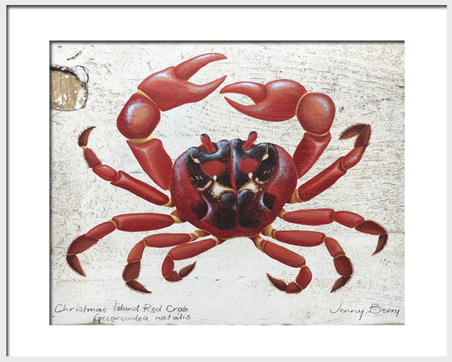 Red crab kitchen