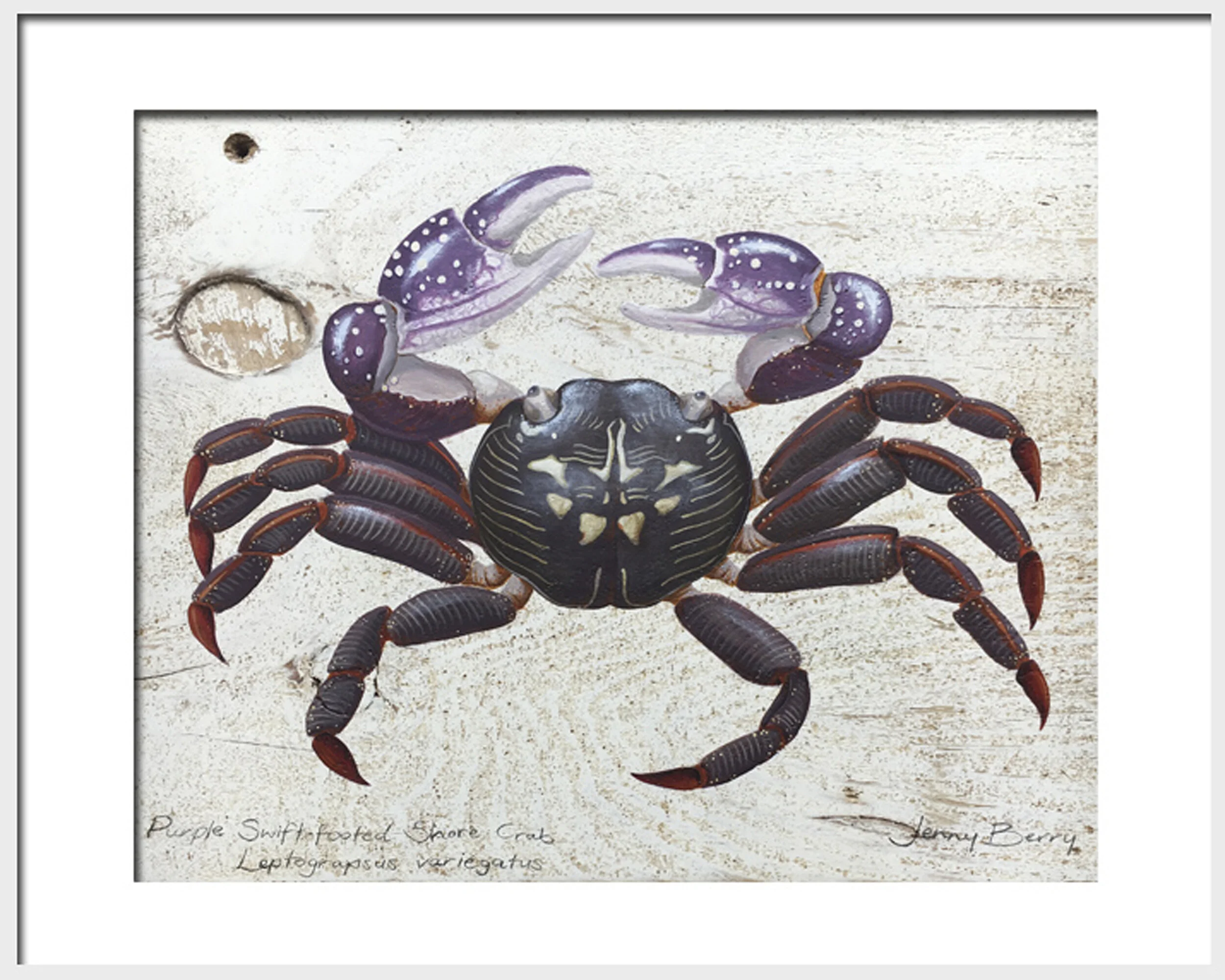Purple framed.jpg