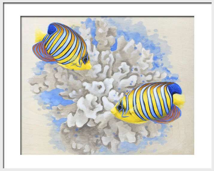 Colour in the Coral framed.jpg