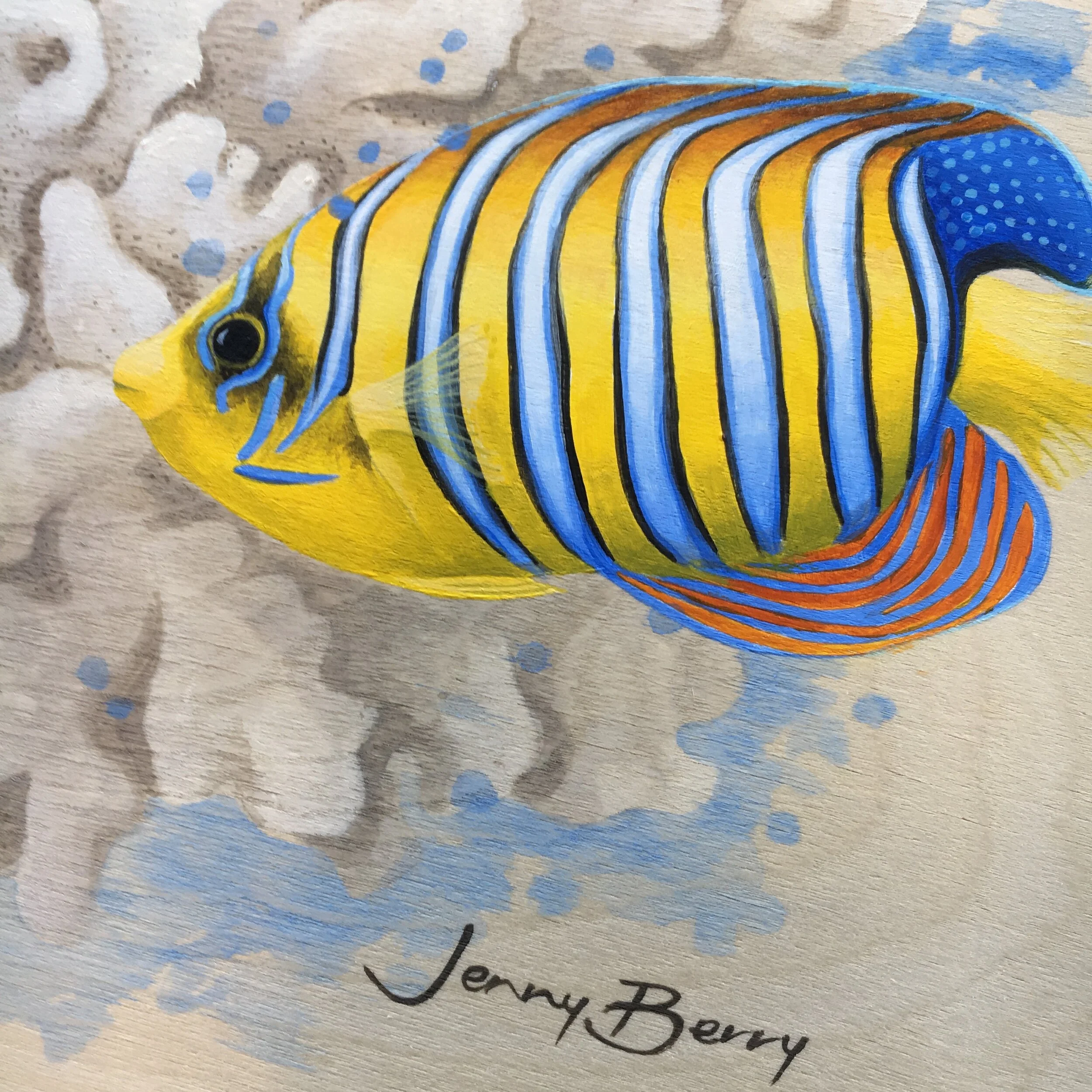 Colour in the coral Detail 1.JPG