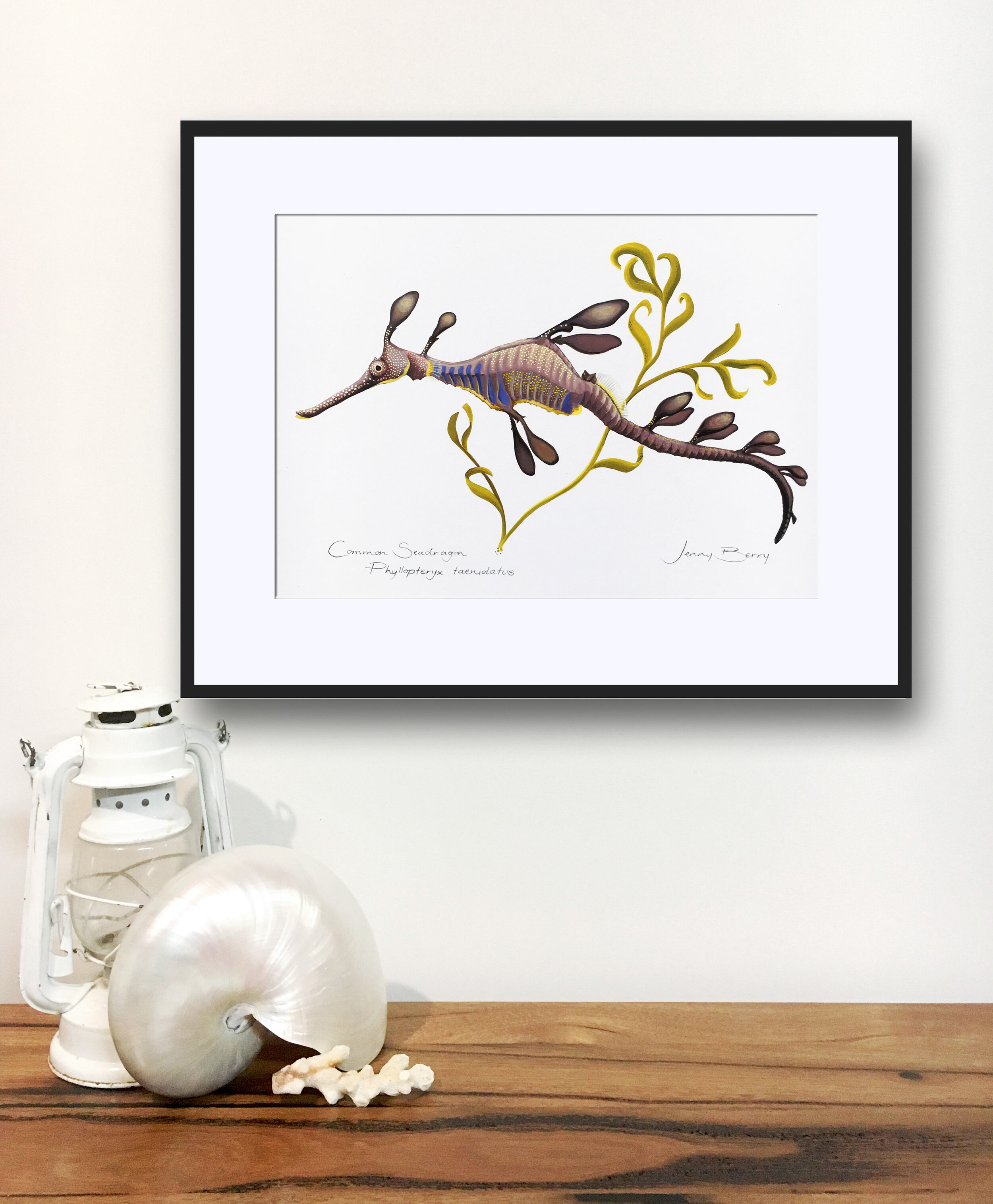 Common Seadragon Framed In Situ Home Print.jpg
