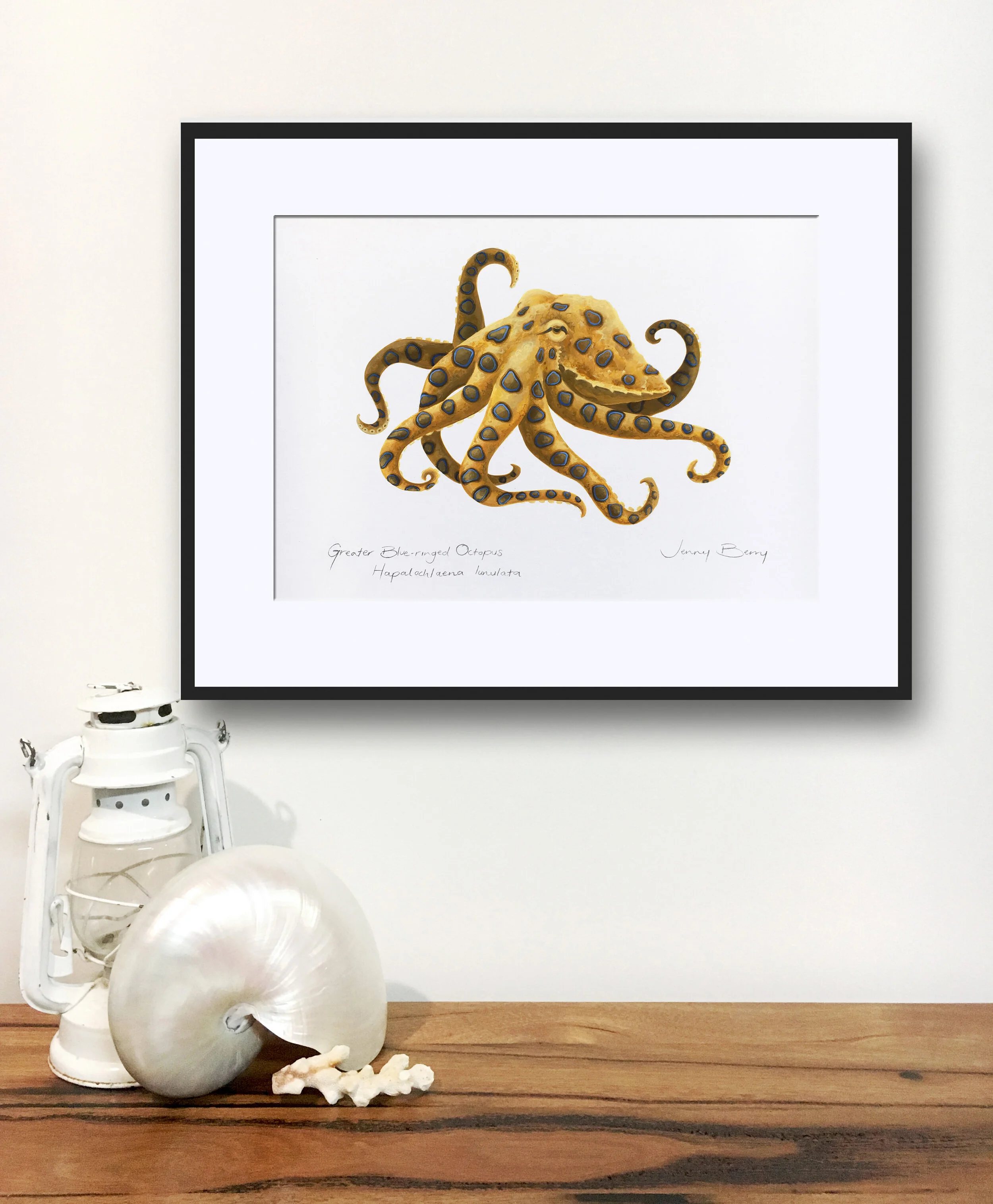 Blue Ring Framed In Situ Home Print.jpg