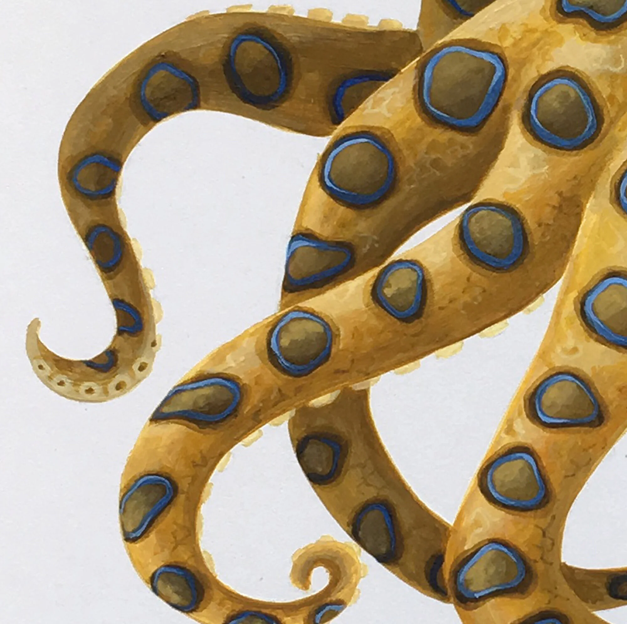 Blue Ring detail 2.jpg