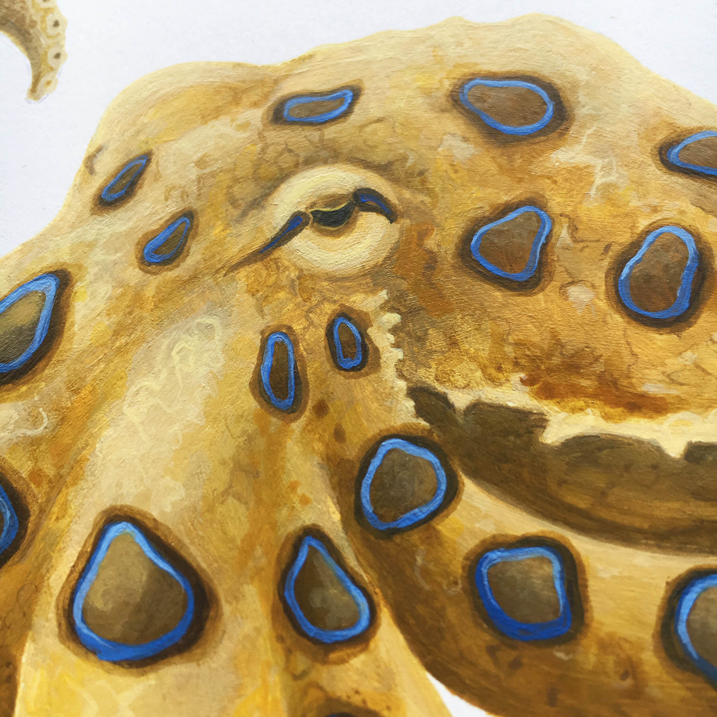 Blue Ring detail.jpg