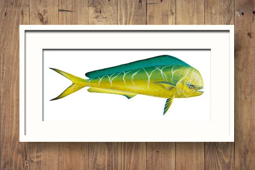 Dolphinfish Framed Timber Wall.jpg