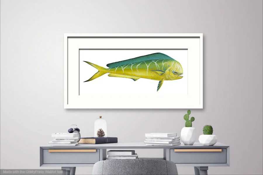 Dolphinfish on Grey wall above desk.jpg