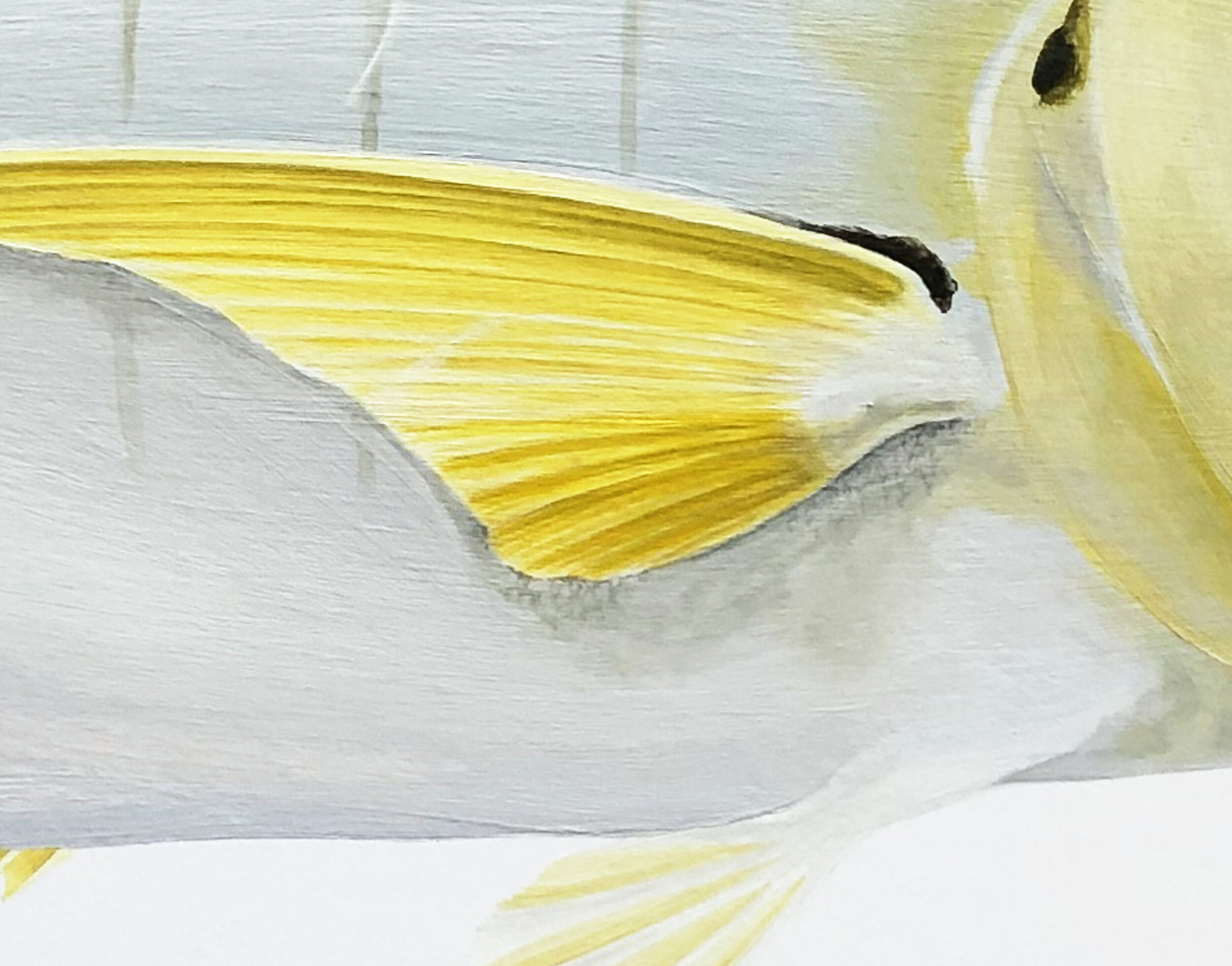 Goldens Pectoral Detail.jpg