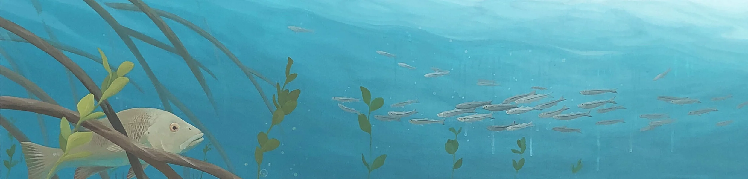 Mangrove Jack Website cover wider.jpg