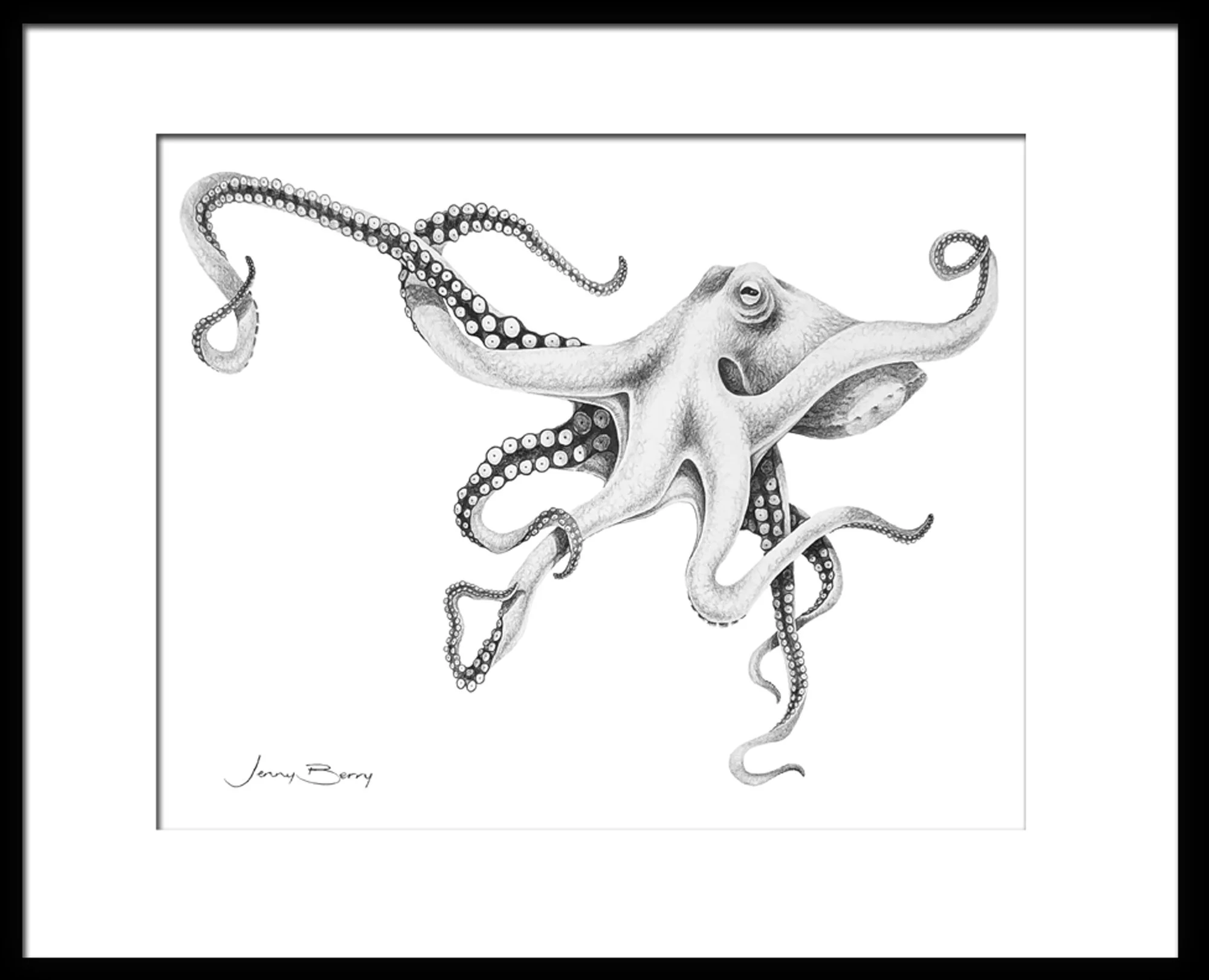 Inky Framed 8 x 10 print.jpg