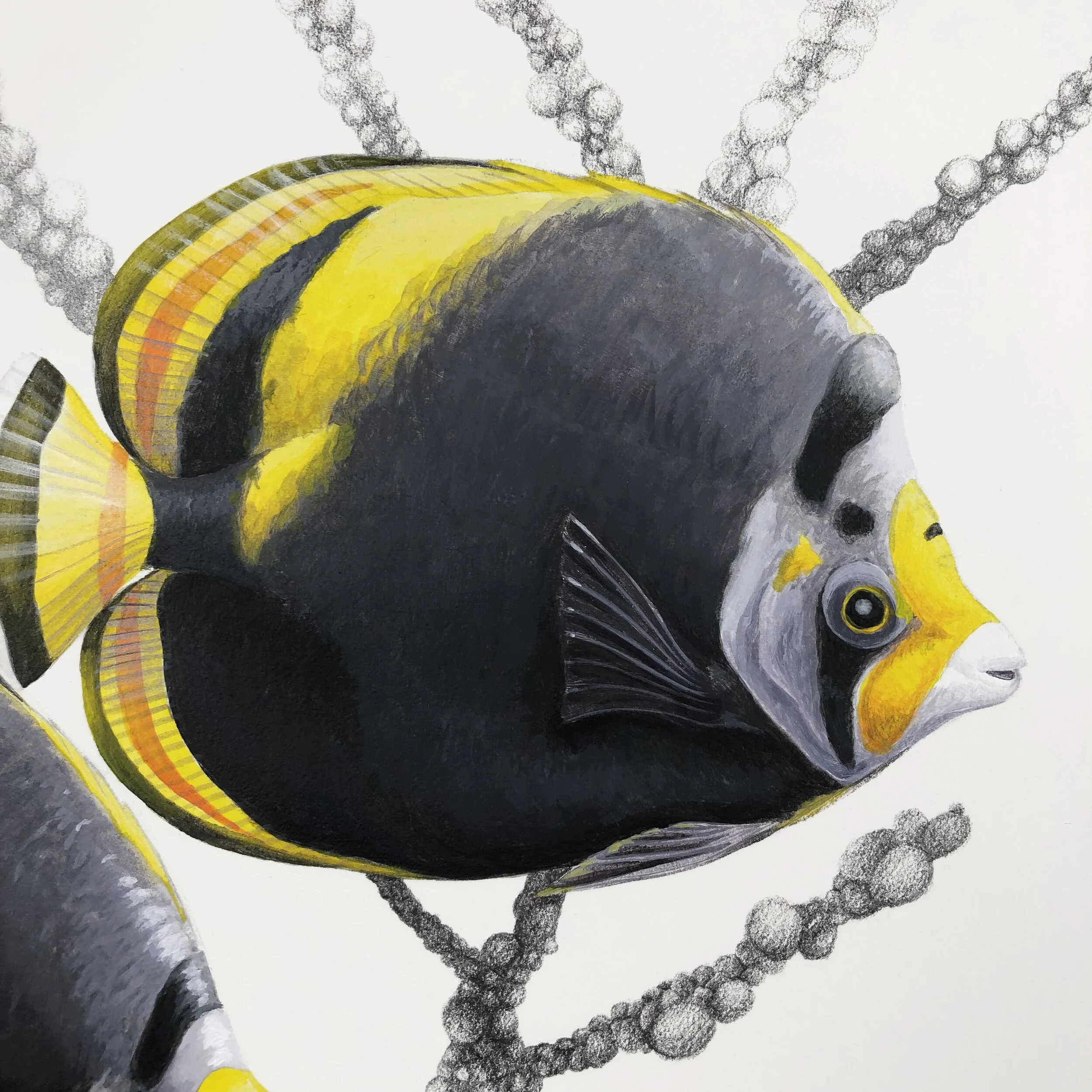 Sea Jewels Close Up Fish 2.jpg