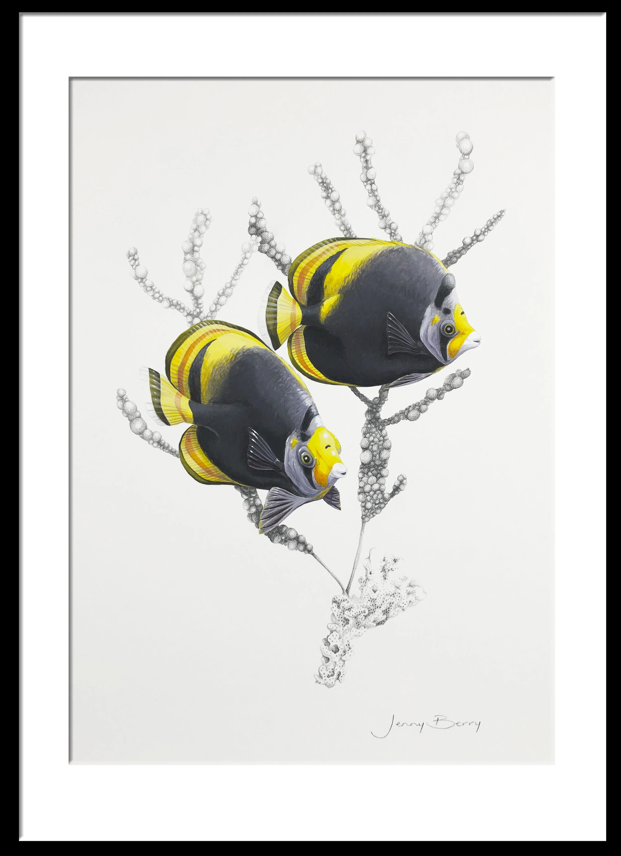 Sea Jewels framed.jpg