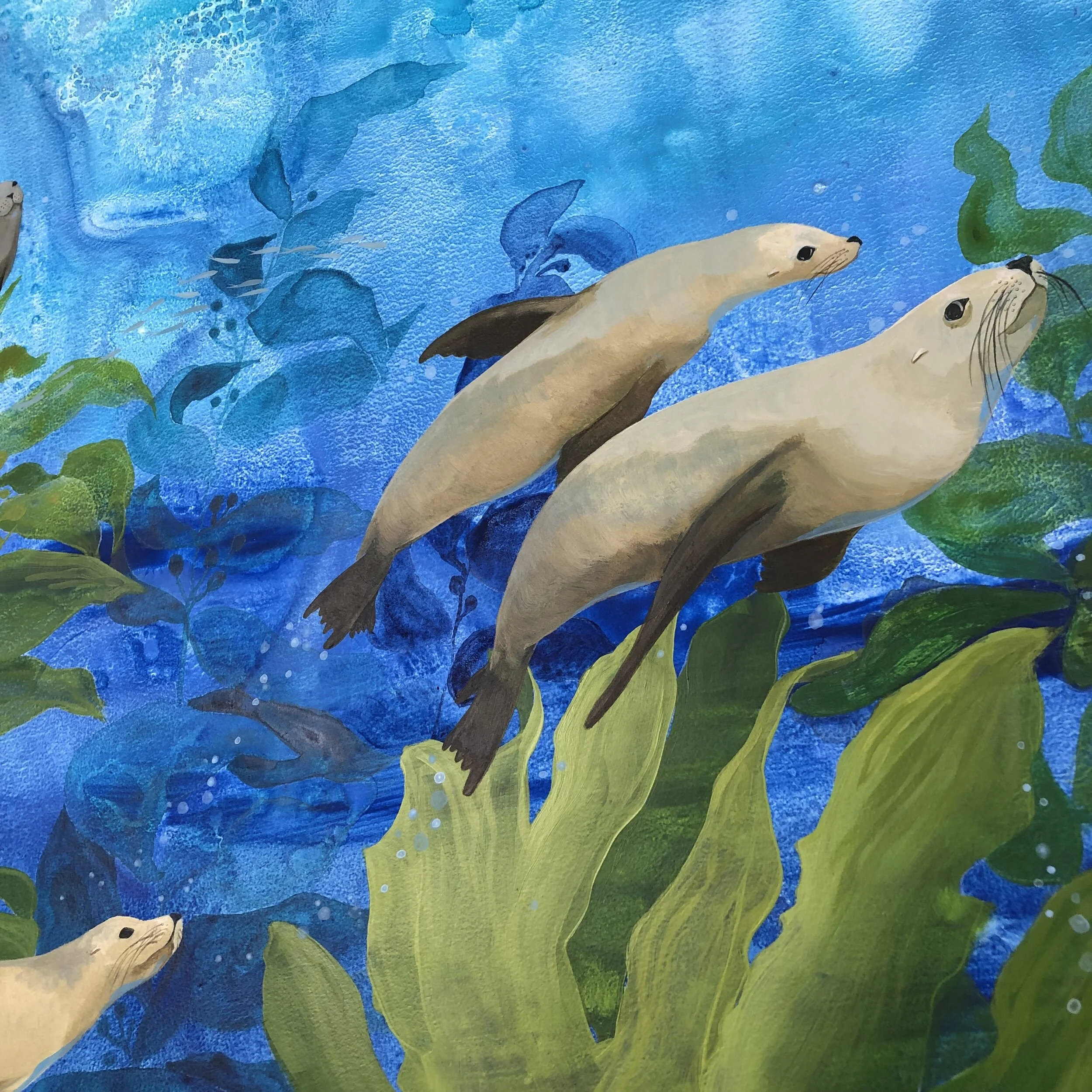 Kelp Detail 4.jpg