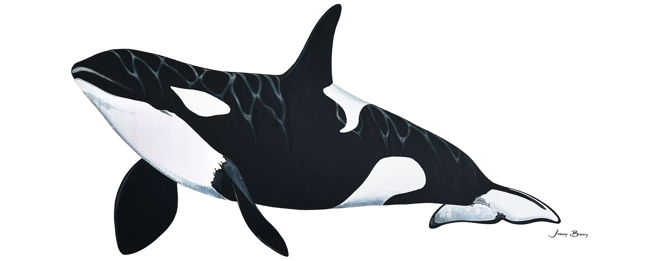 Oceanic Queen - Orca