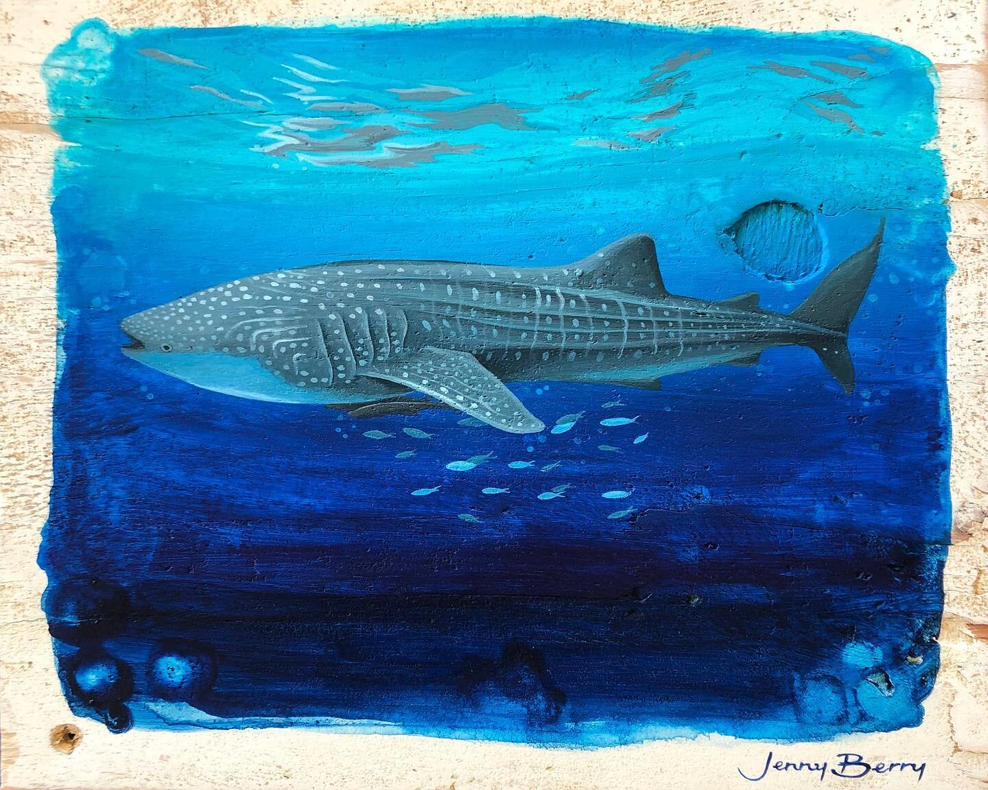 I&rsquo;ve donated this beautiful whale shark artwork to the Neurosurgical Research Foundation to raise funds for this important cause 💙 The online auction will begin on September 3rd so I&rsquo;ll share a link for you to view the catalogue of artwo