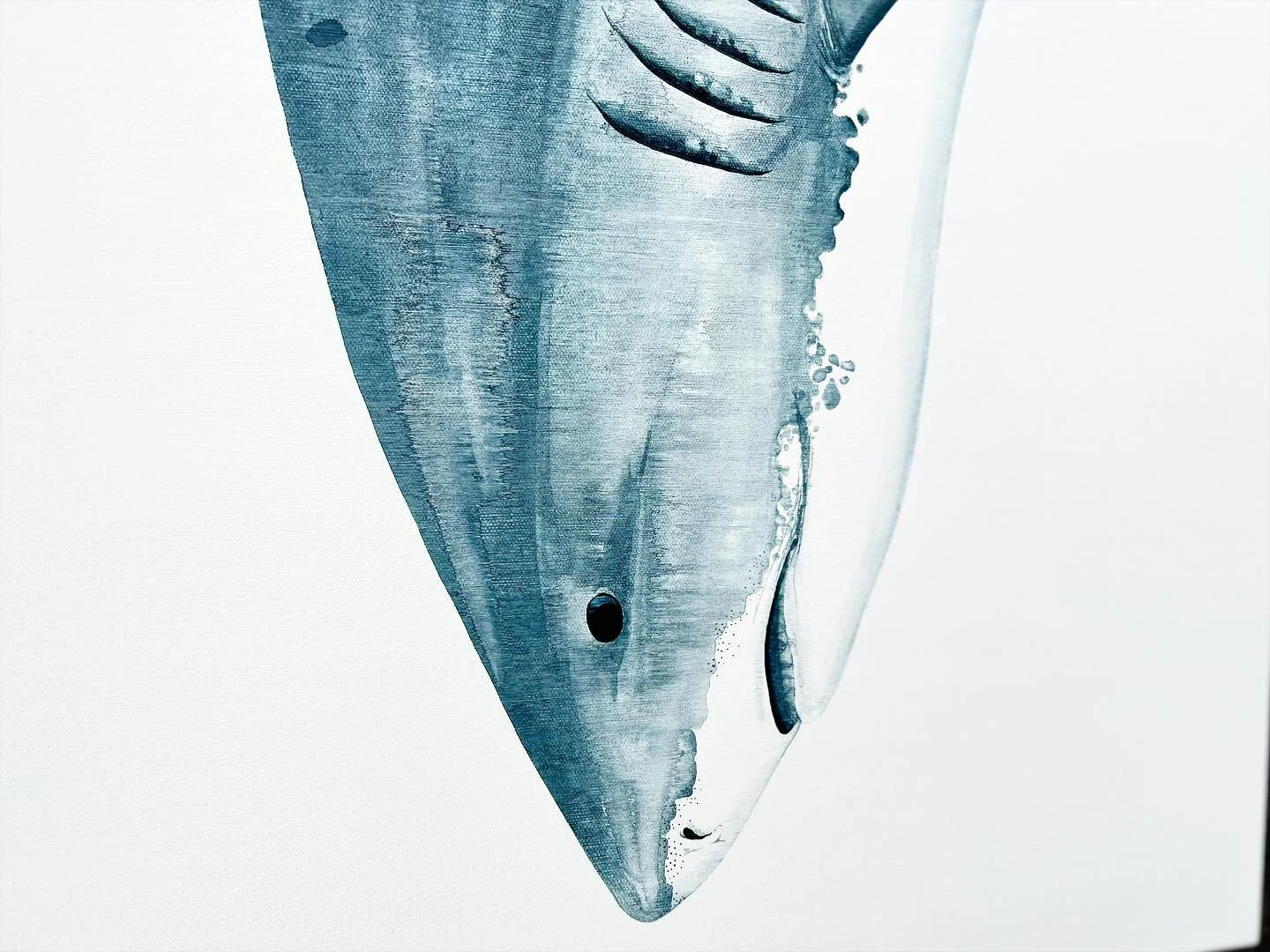 There&rsquo;s a tiger in the water 🦈 
Full artwork ready to share tomorrow 📣
..
#tigershark #shark #sharkart #tigersharks #sharkartist #sharklover #oceanart #sharkpainting #absea #sharkdiving #sharklife #sharkcage #sharkconservation #oceanartwork #