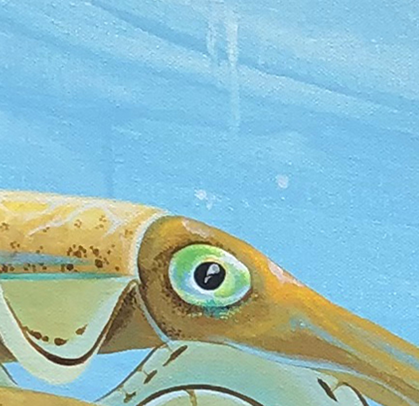Southern Calamari Ocean Forest Eye Detail.jpg