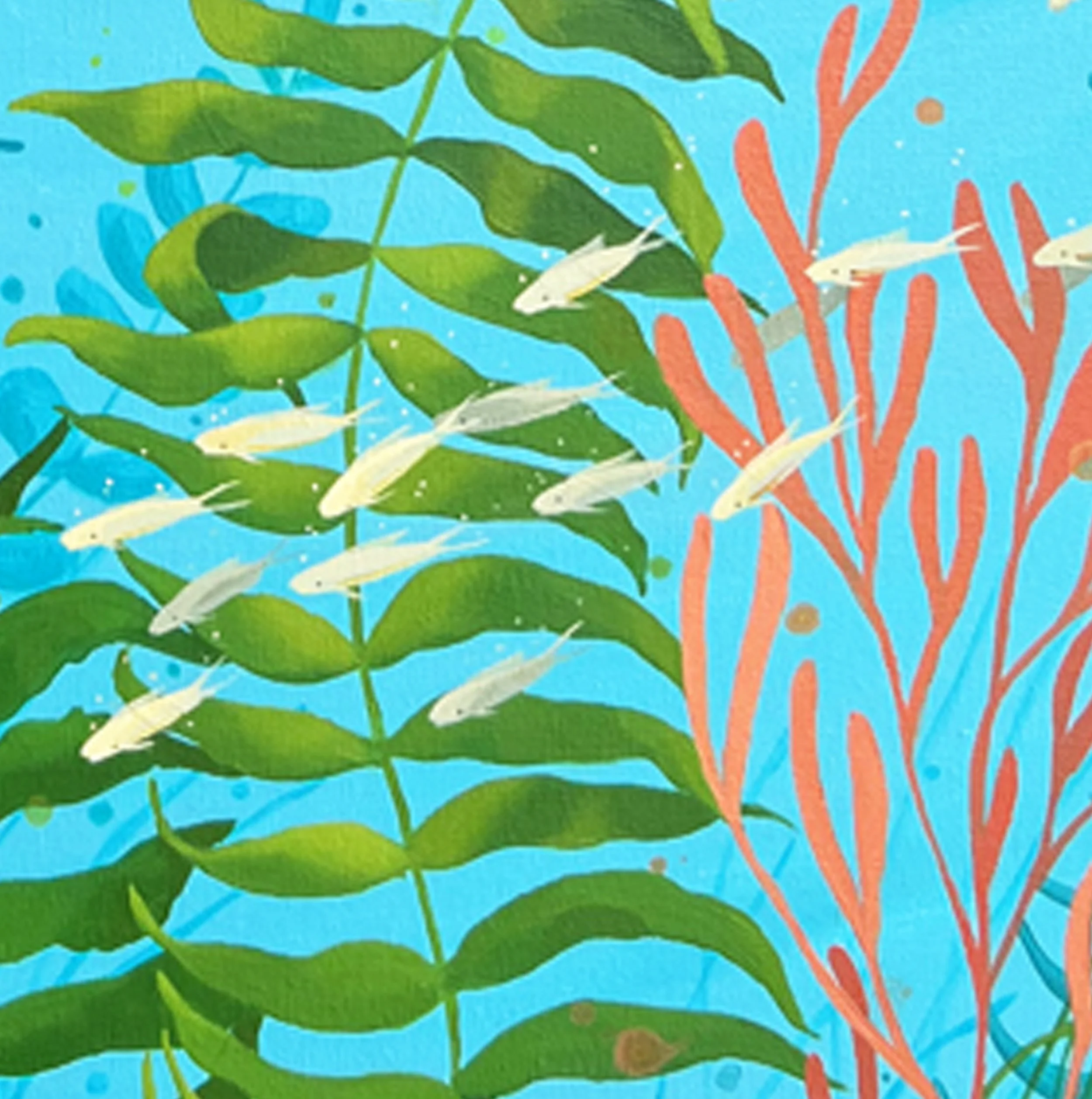 Dolphins II close up goldfish.jpg