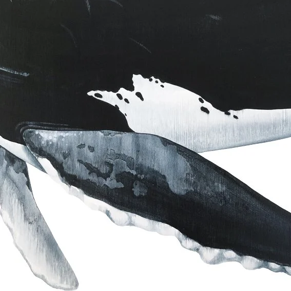 Oceanic Wanderer Humpback fin Detail.jpg