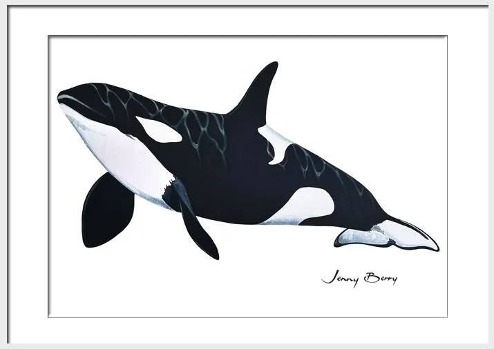 Orca a4 Framed.jpg