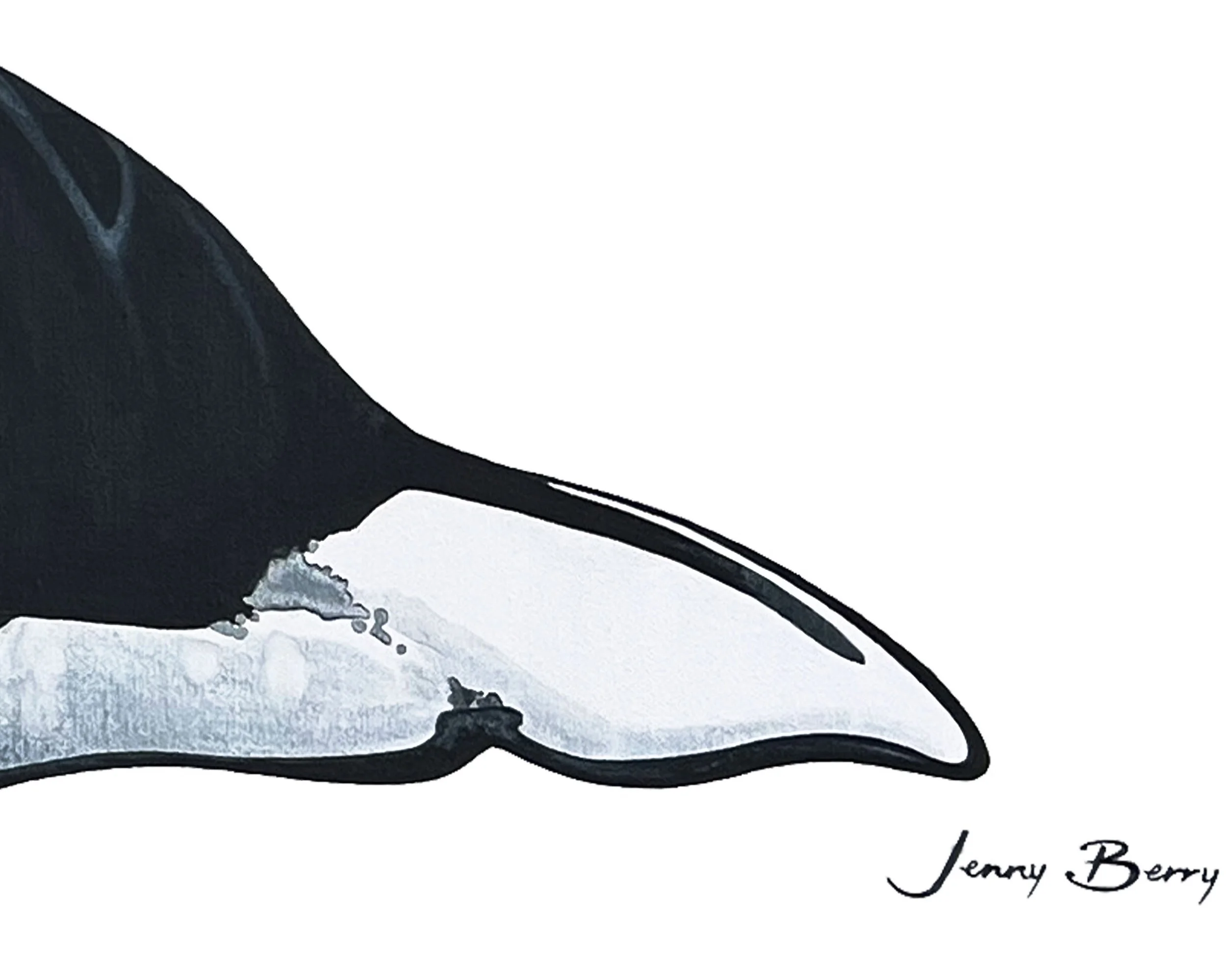 Orca tail detail.jpg