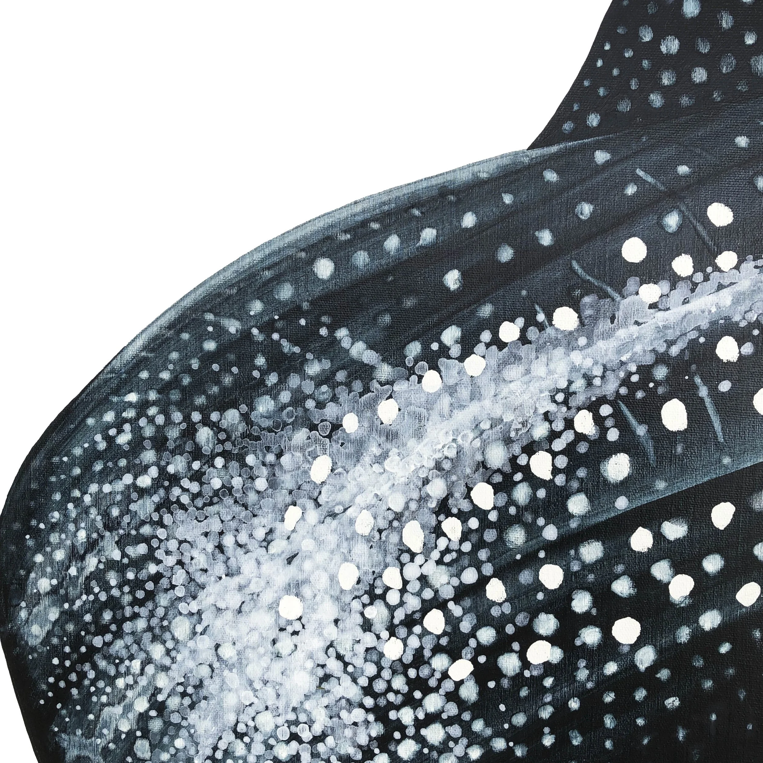 Oceanic Giant_Jenny Berry head fin detail.jpg