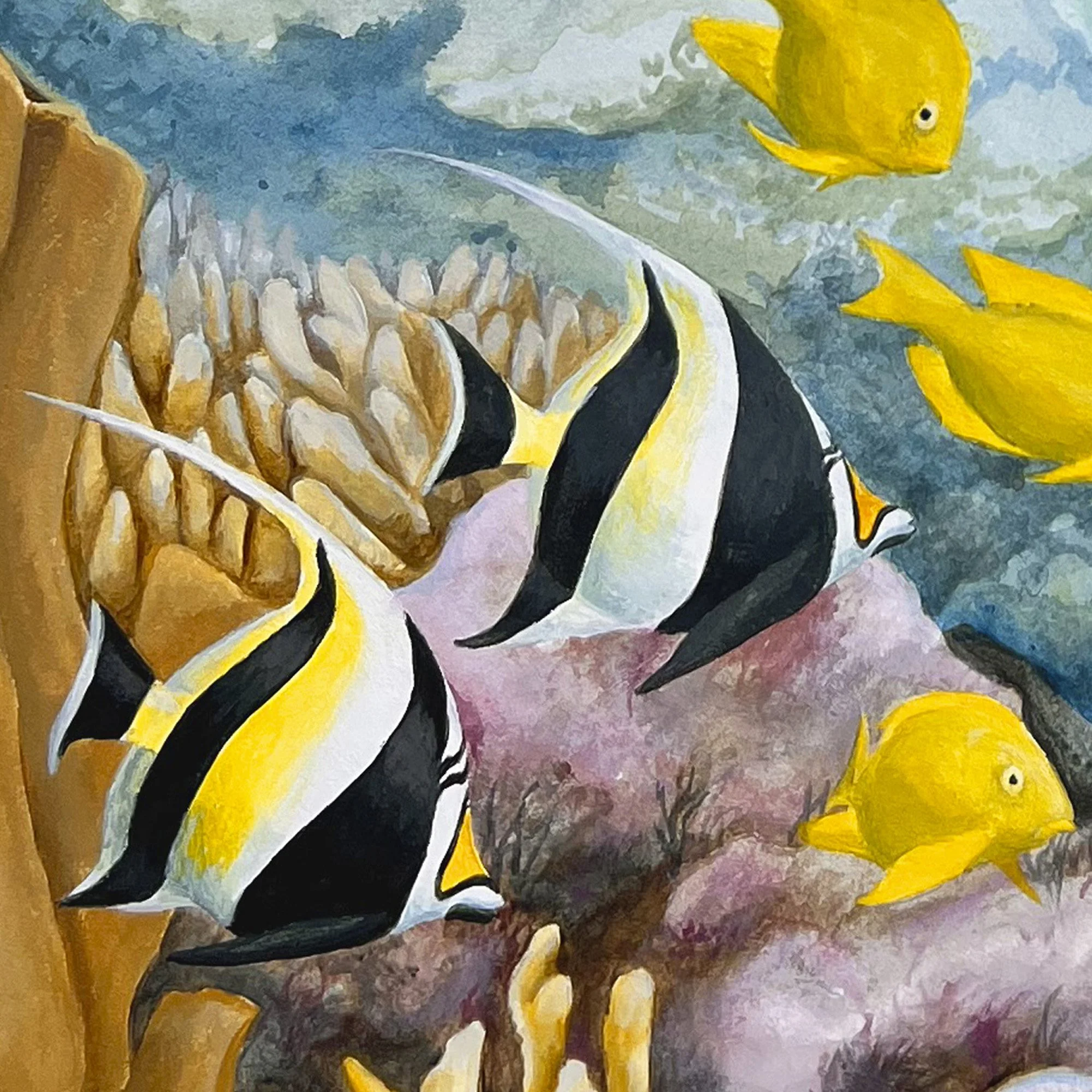 Komodo Octopus - detail fish.jpg