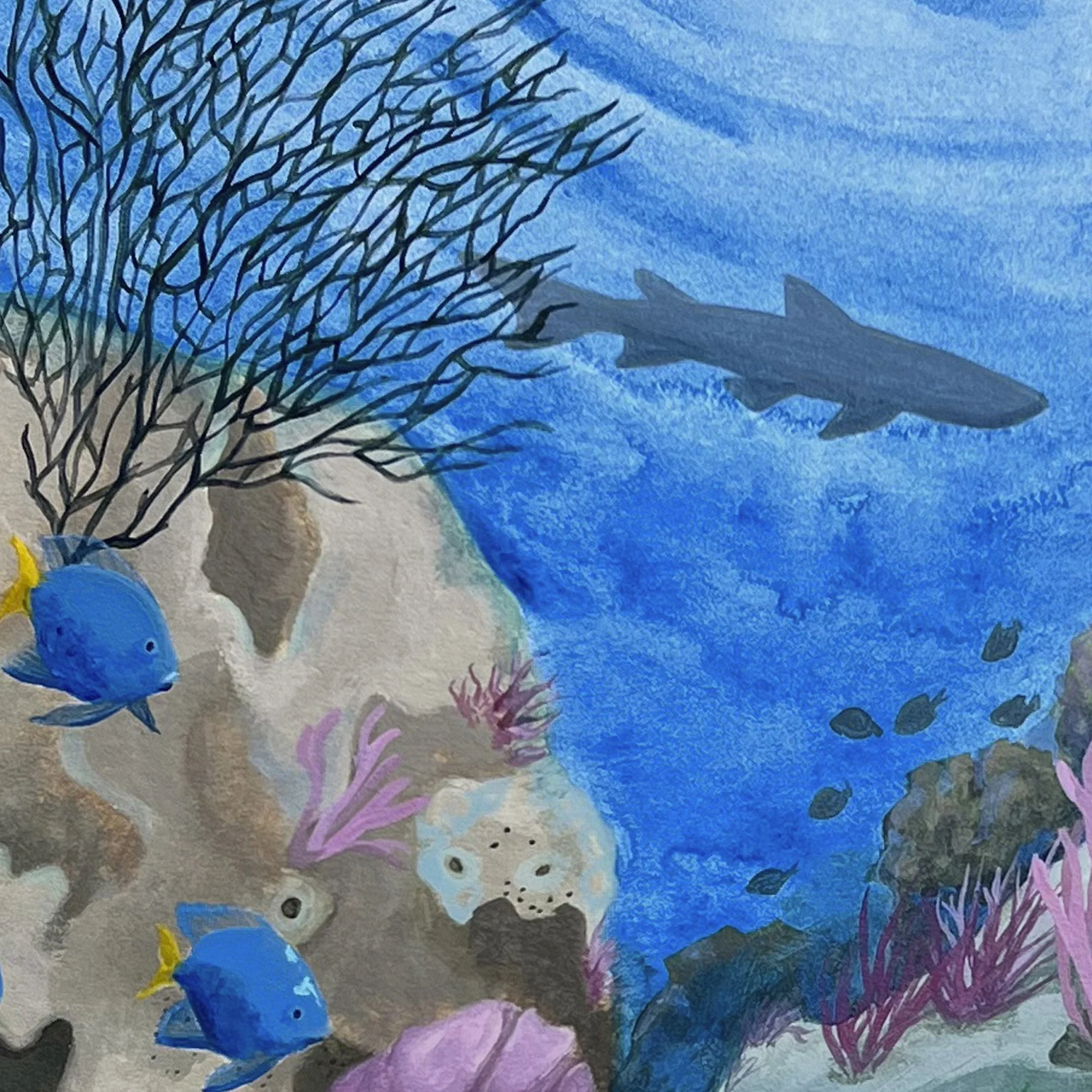 Komodo Lionfish - detail shark.jpg