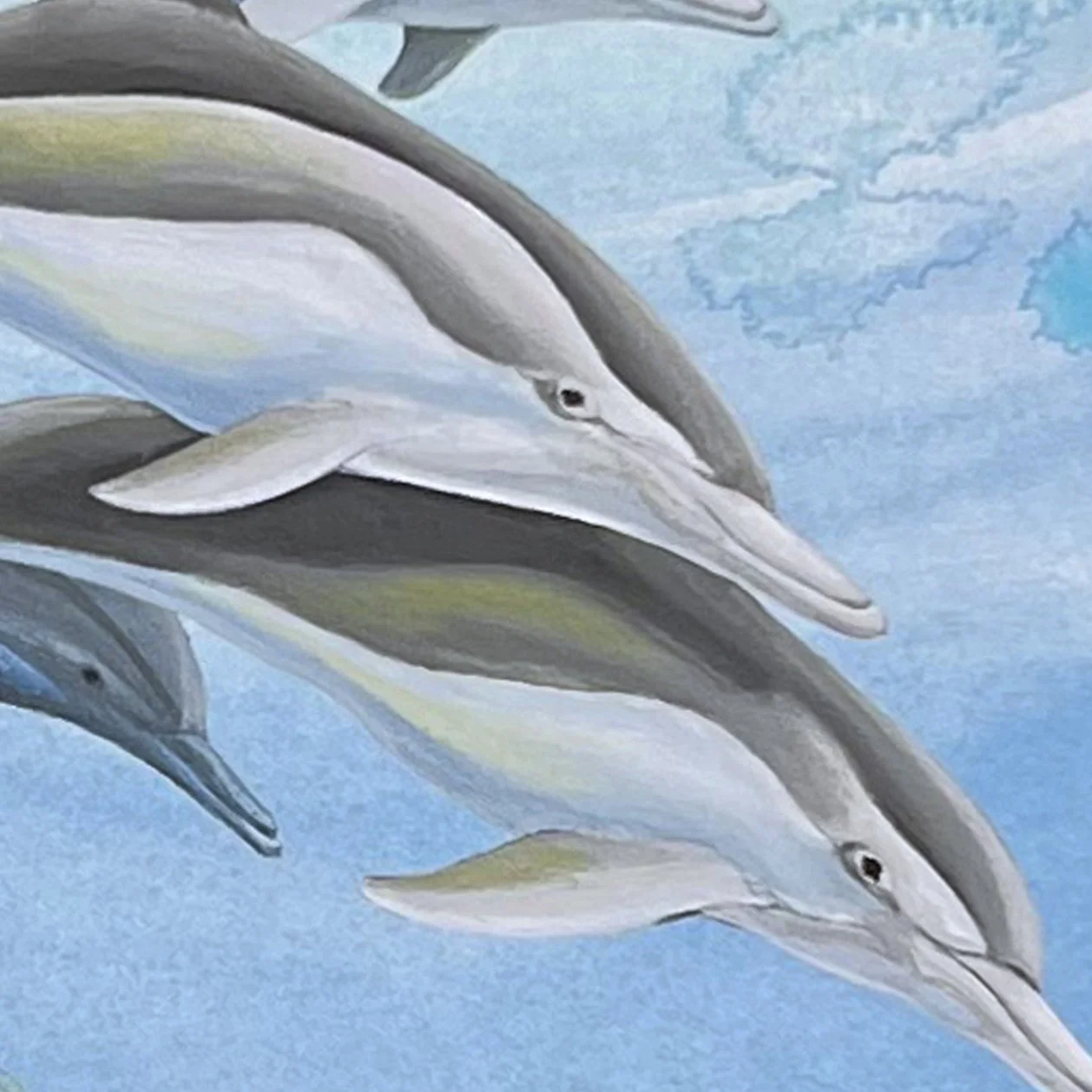Dolphin Play dolphin closer detail.jpg