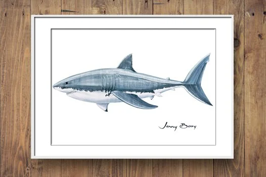 Great White Shark timber wall.jpg
