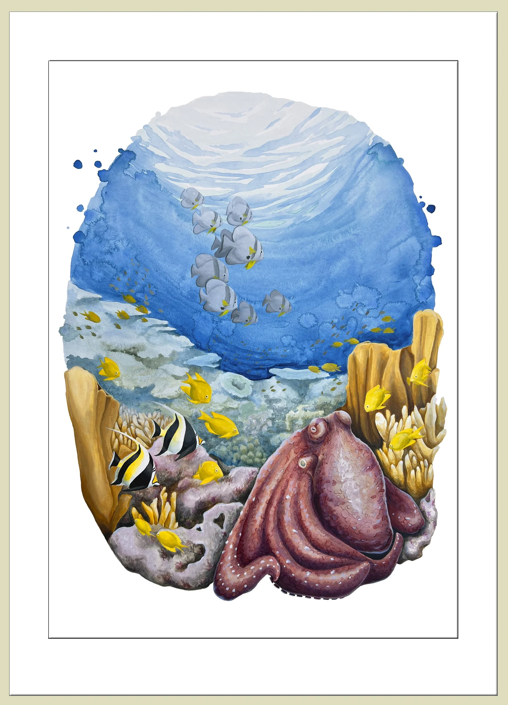 Exposed Octopus framed.jpg