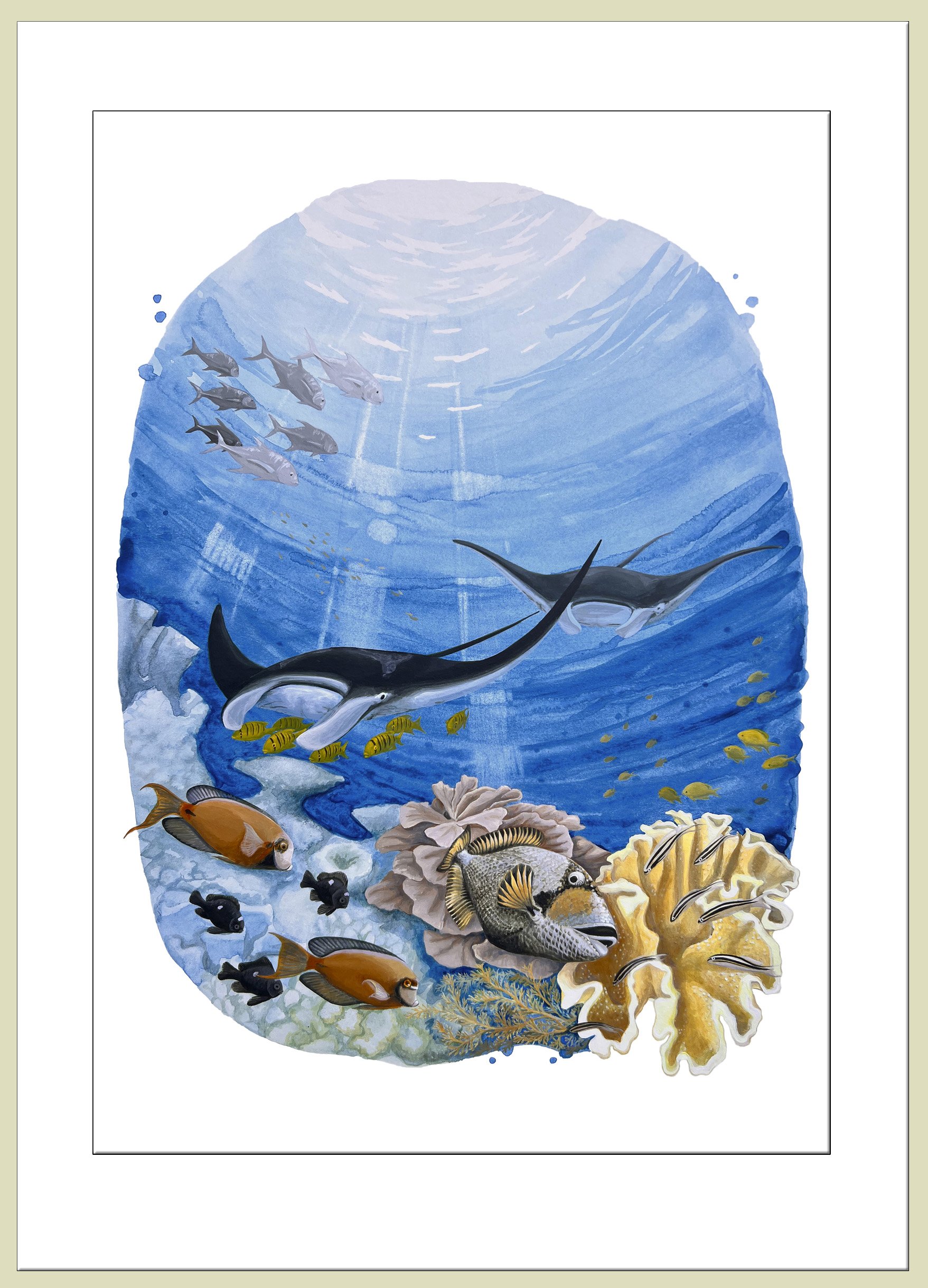 Manta Magic framed.jpg