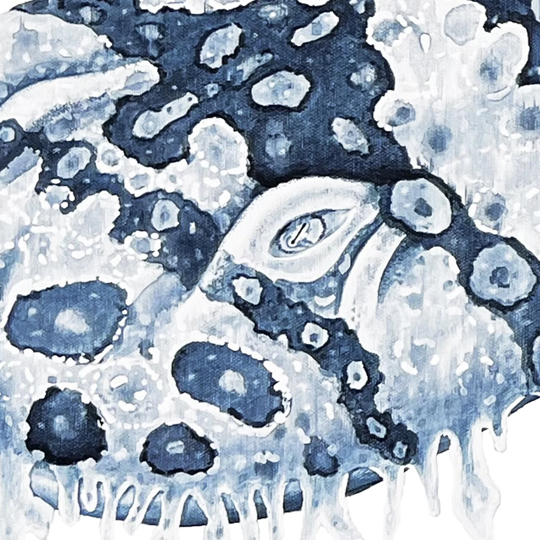 Wobbegong eye detail.jpg