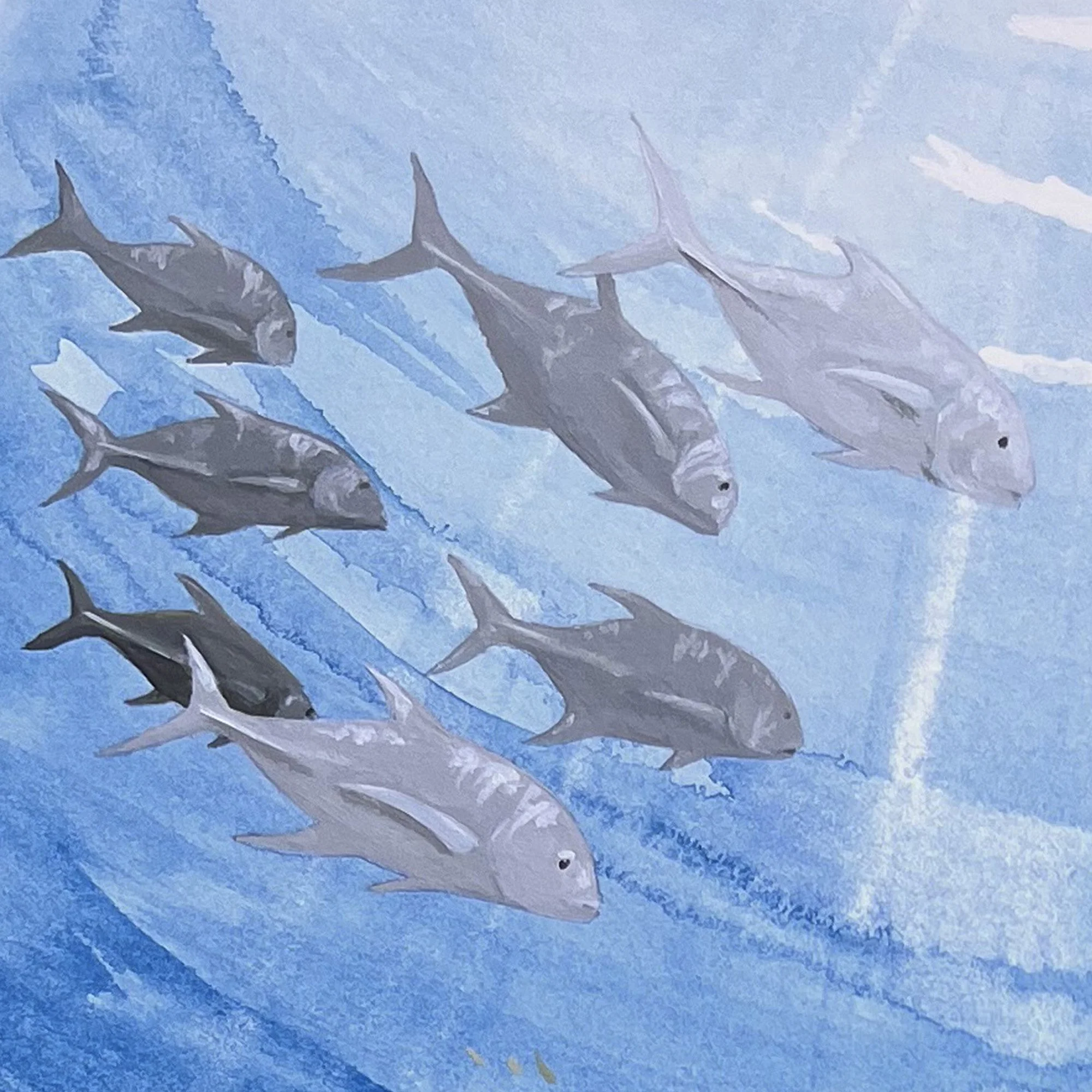 Komodo Manta detail gts.jpg