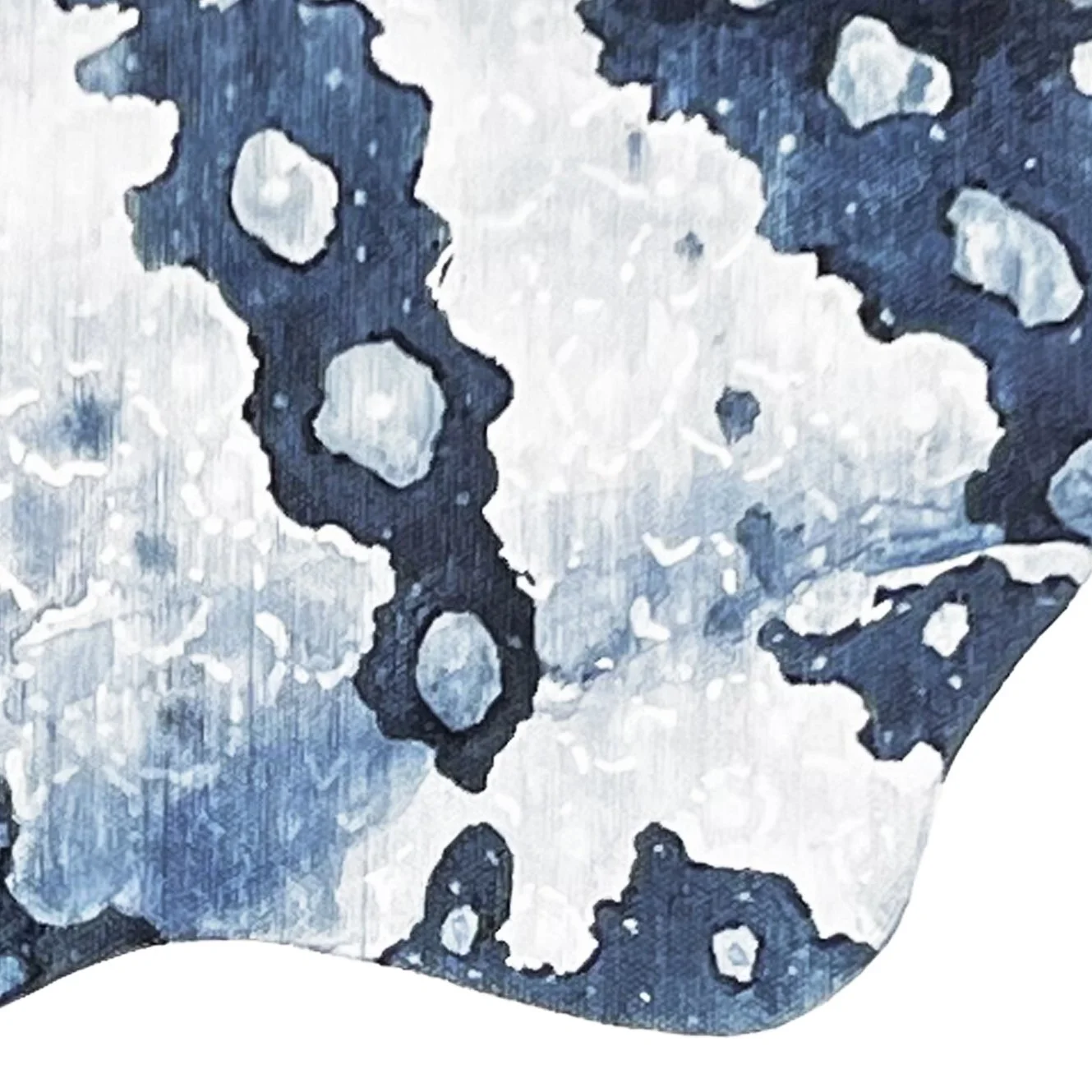 Wobbegong side fin detail.jpg