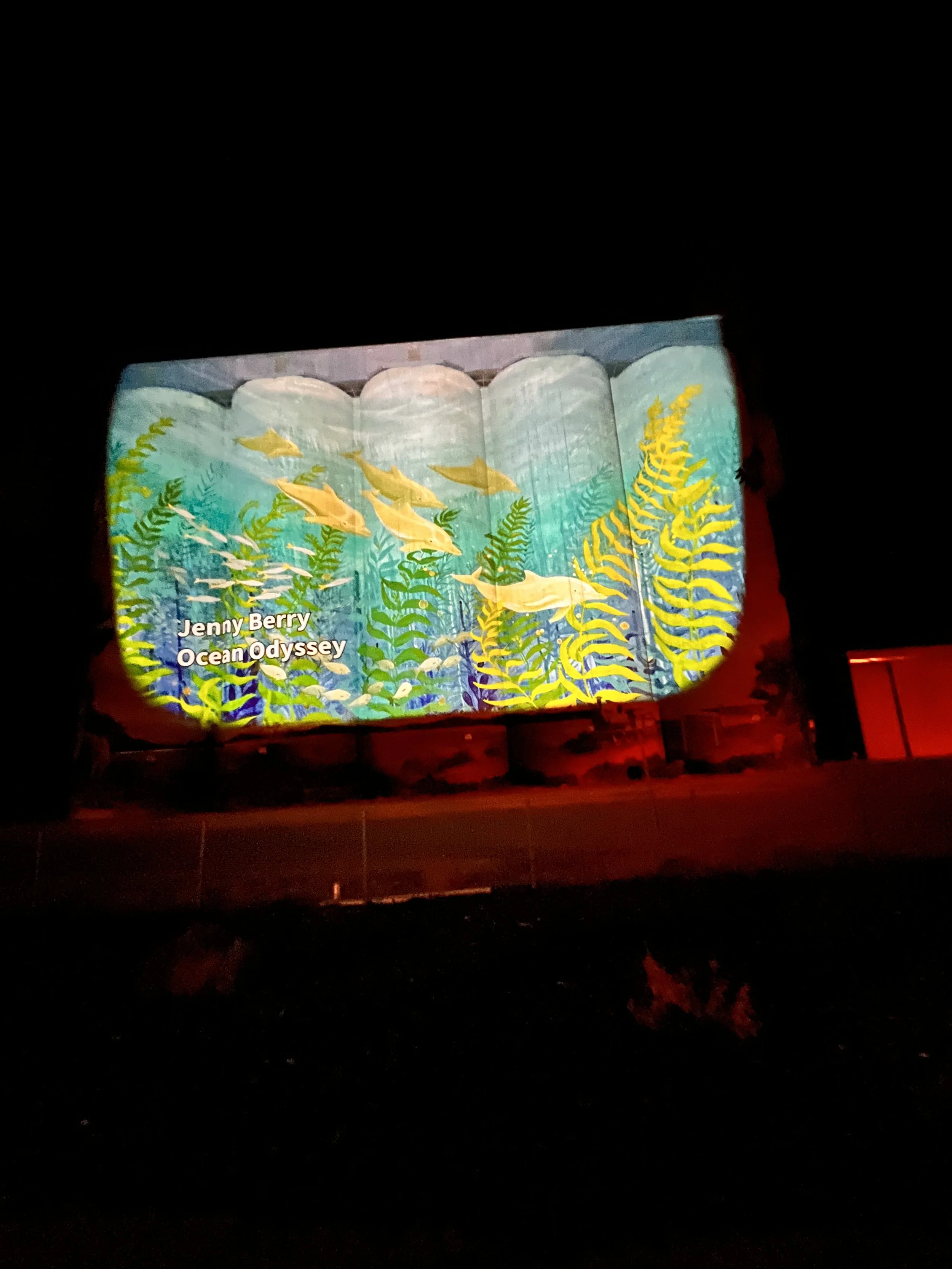 Karoonda Art on the Silos Dolphins.jpg