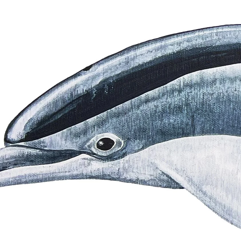 Oceanic Spinners head detail.jpg