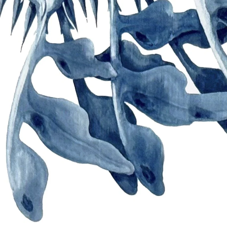 Leafy leafs detail.jpg