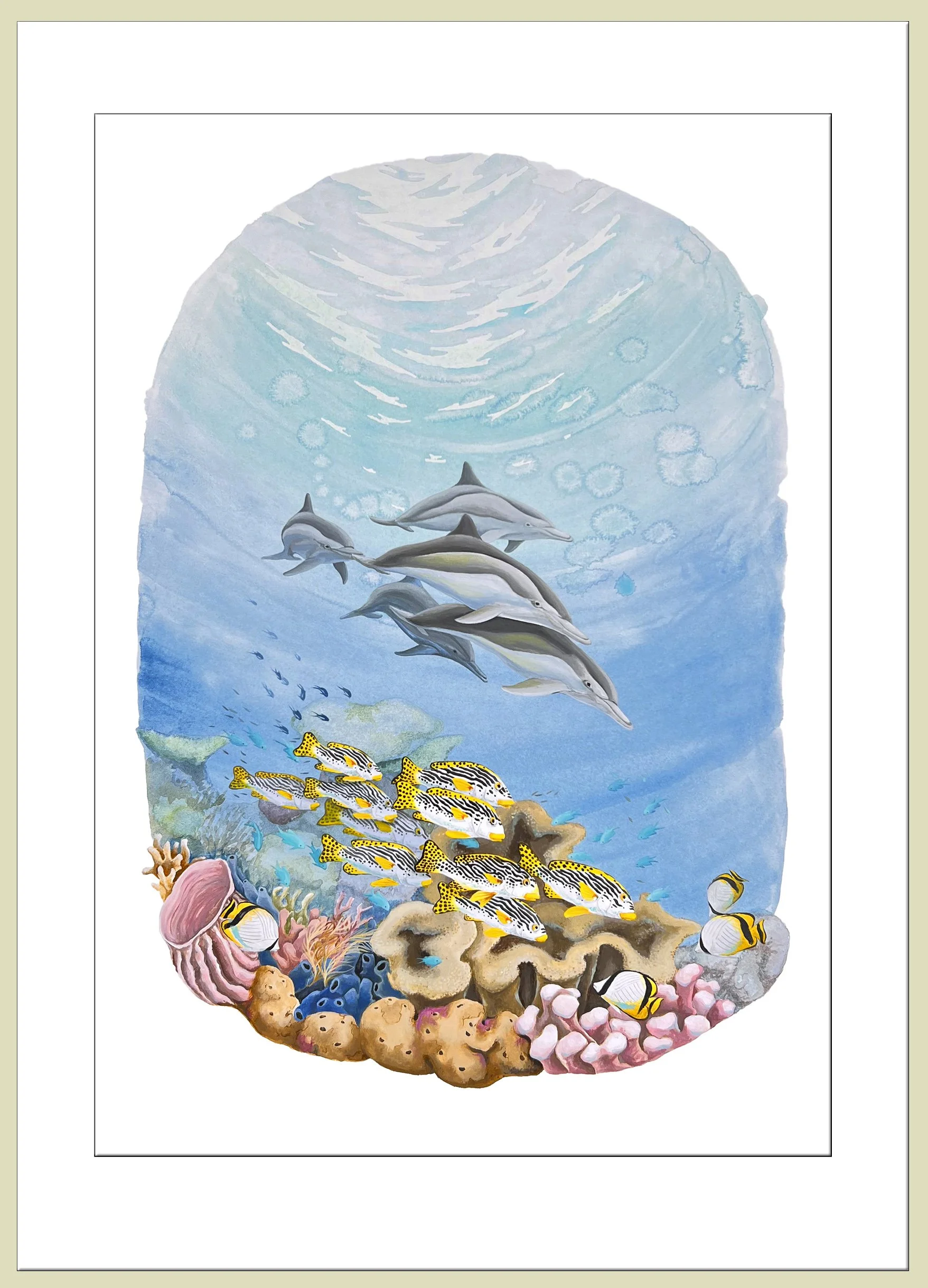 Dolphin Play framed.jpg