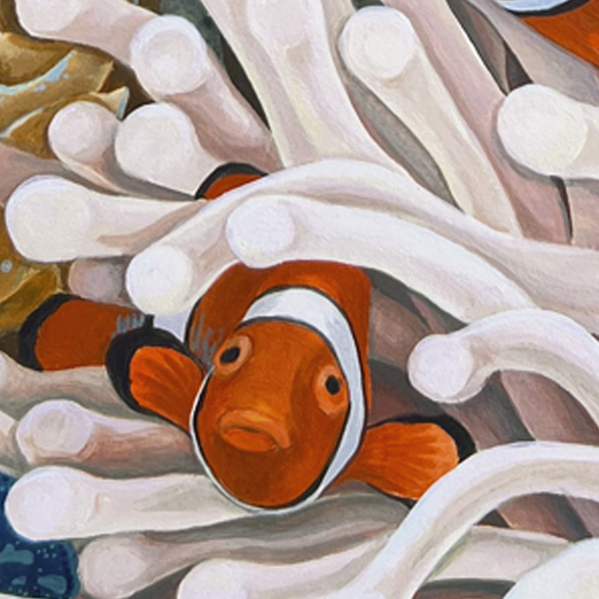 Komodo Clownfish - detail little fish.jpg