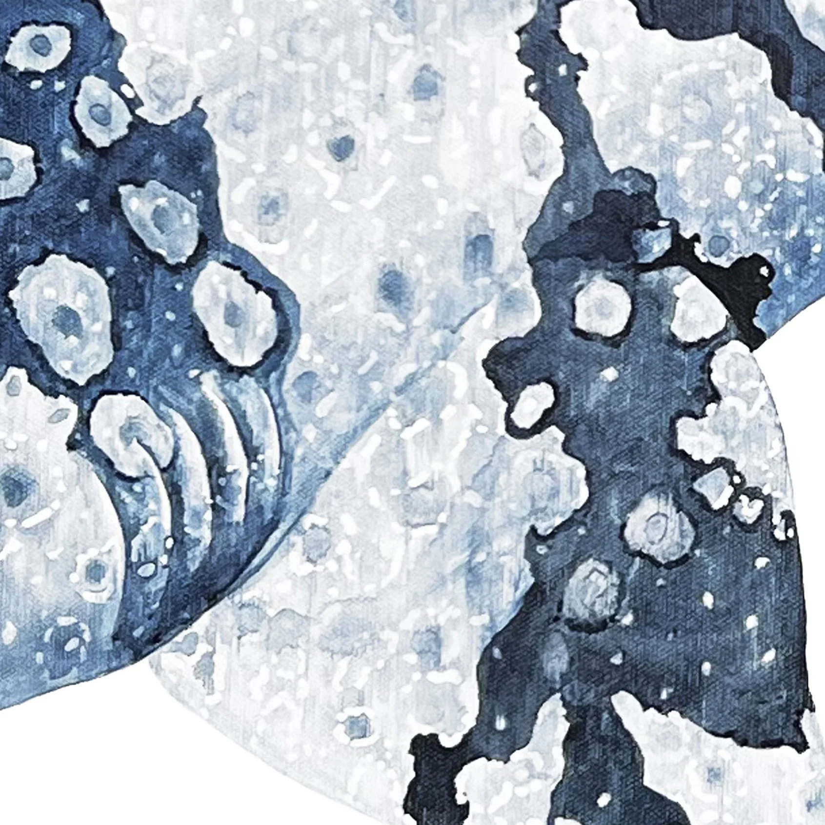 Wobbegong gill detail.jpg