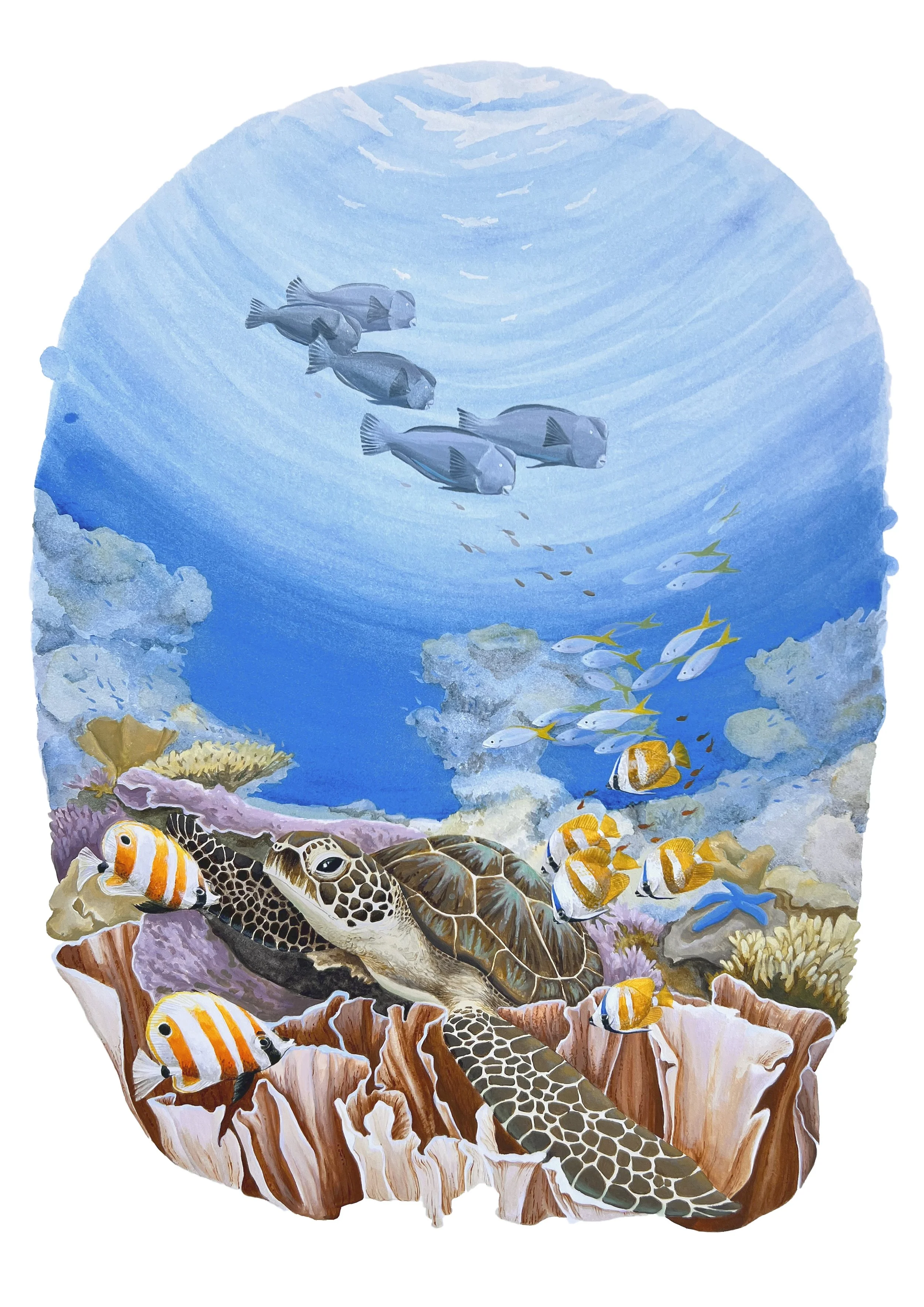 Hidden Hawksbill.jpg