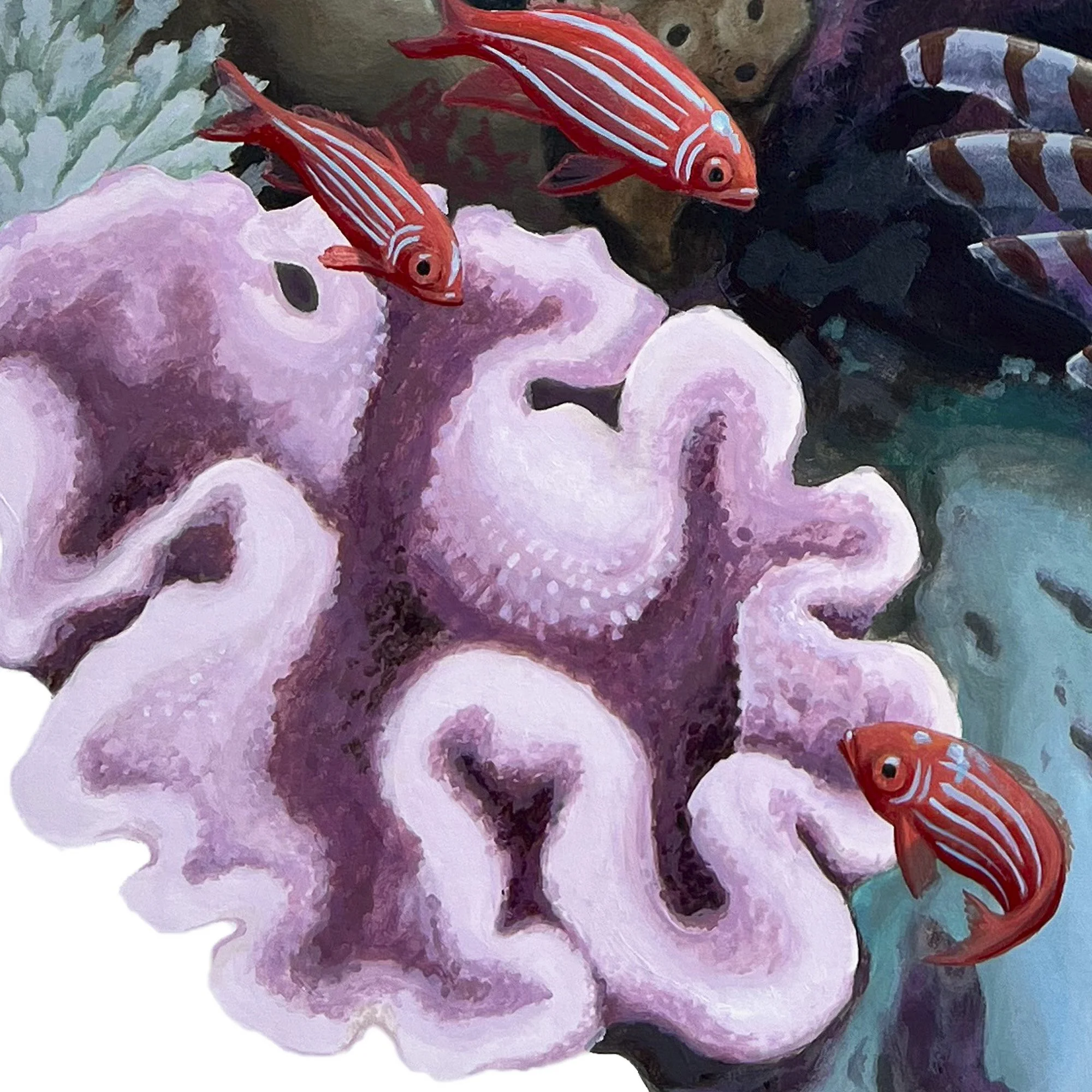 Komodo Lionfish - detail coral.jpg