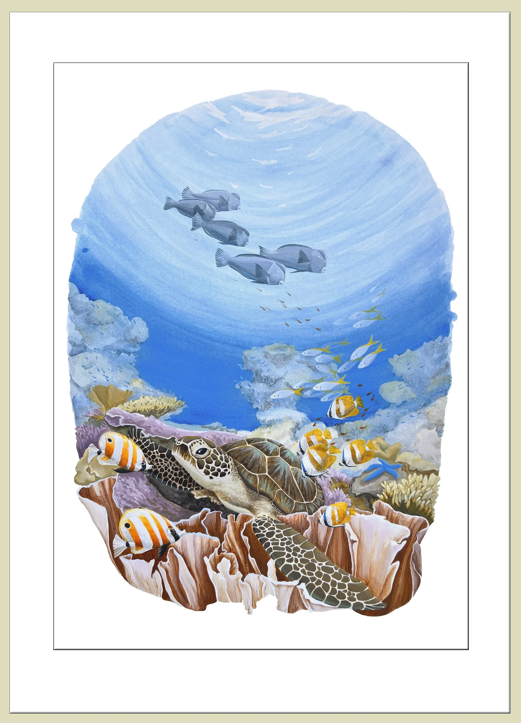 Hidden Hawksbill framed.jpg