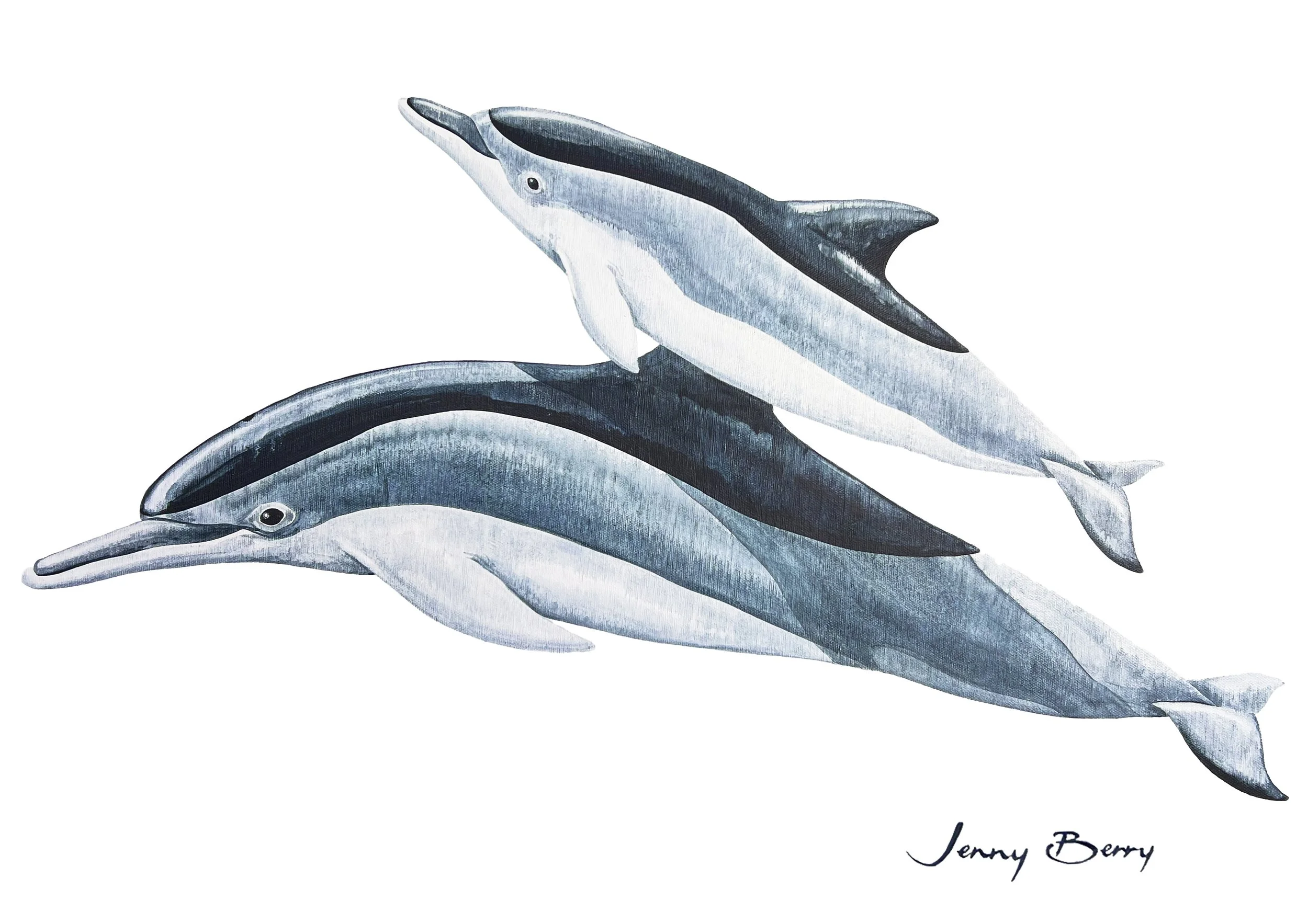 Oceanic Spinners - Dolphins A4 print.jpg
