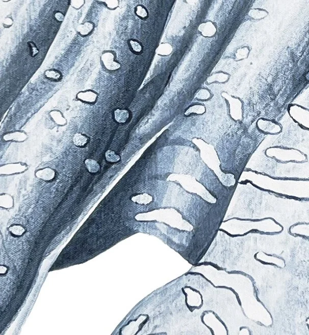 Survivor tentacle detail.jpg