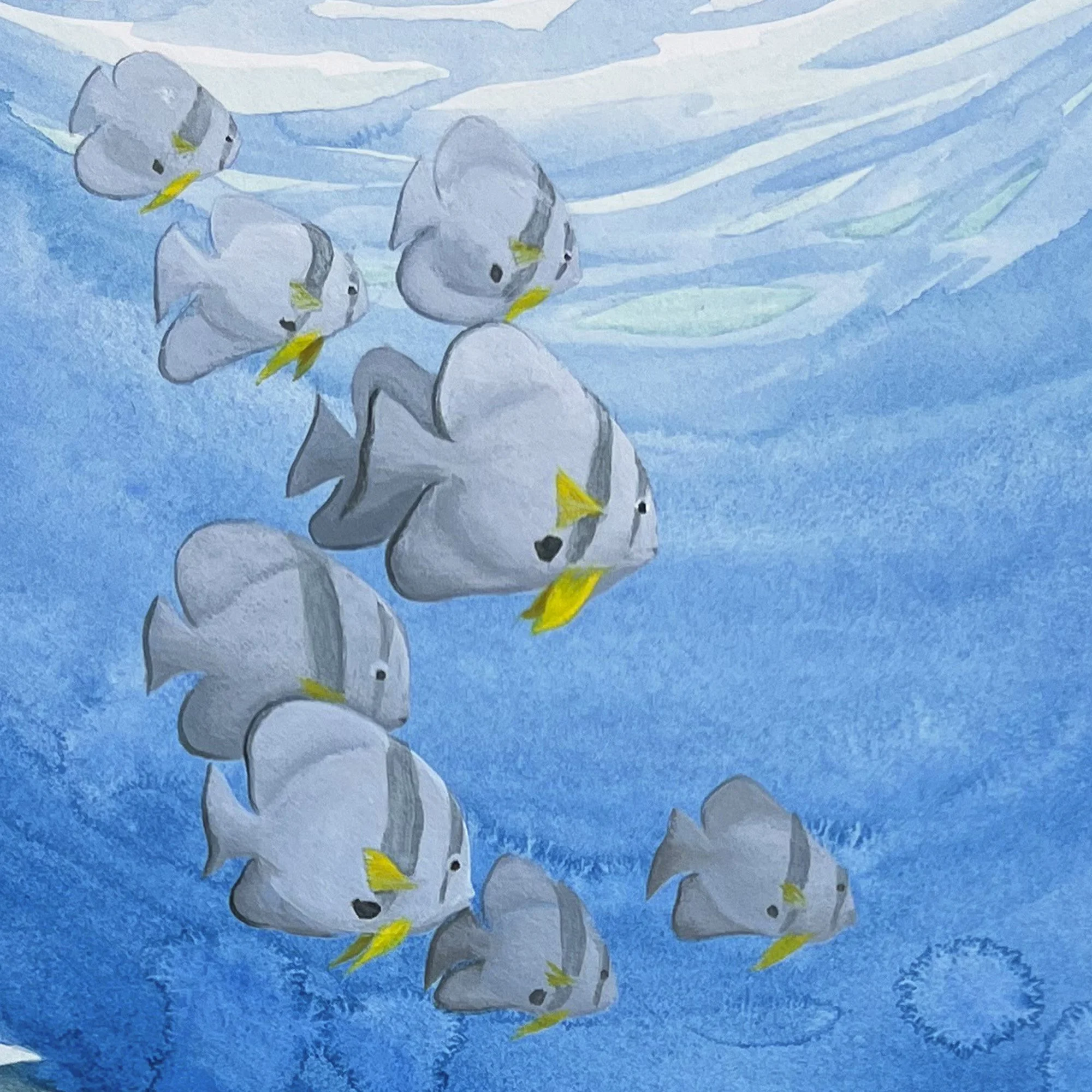 Komodo Octopus - detail batfish.jpg