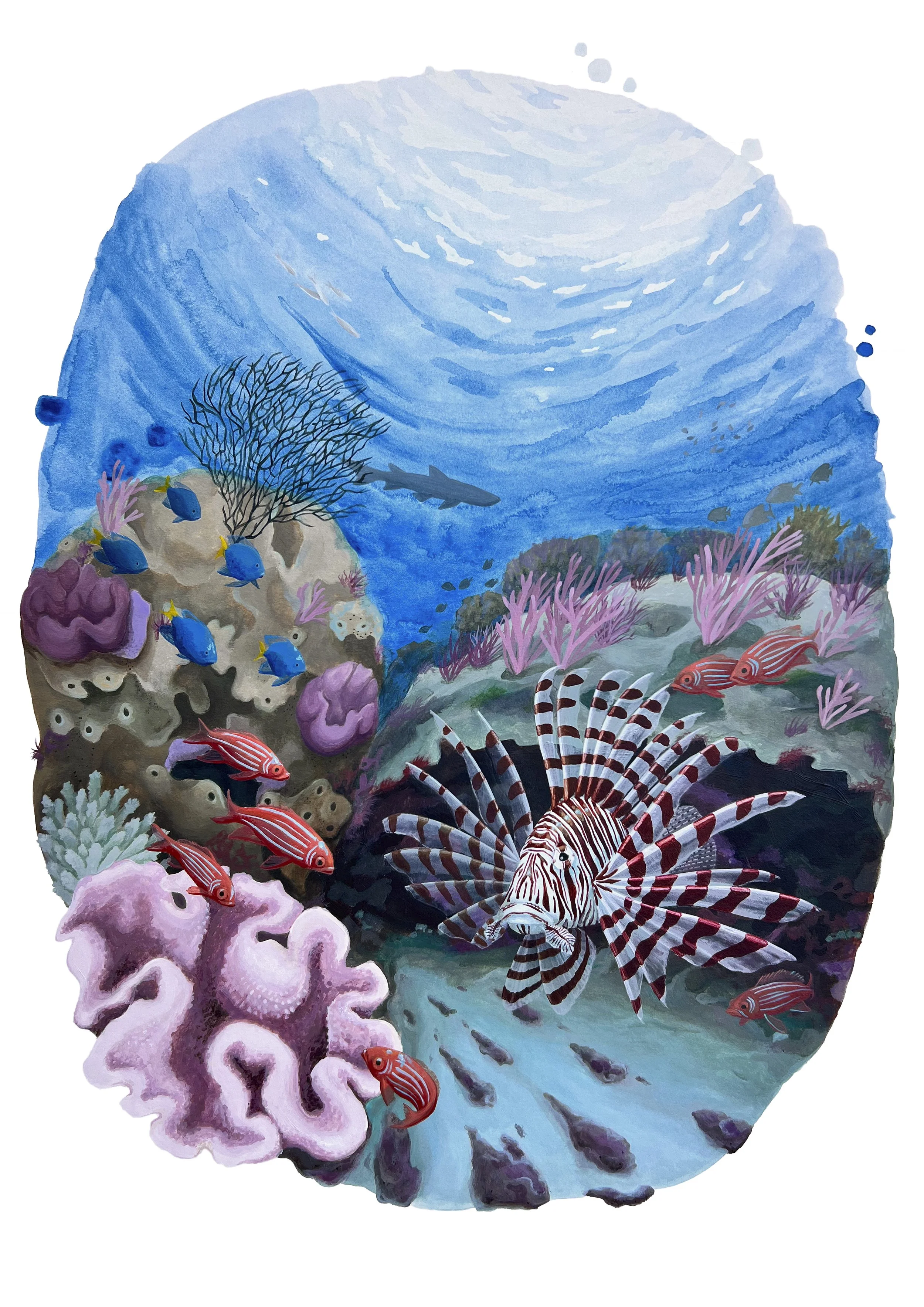 Lionfish Lair.jpg