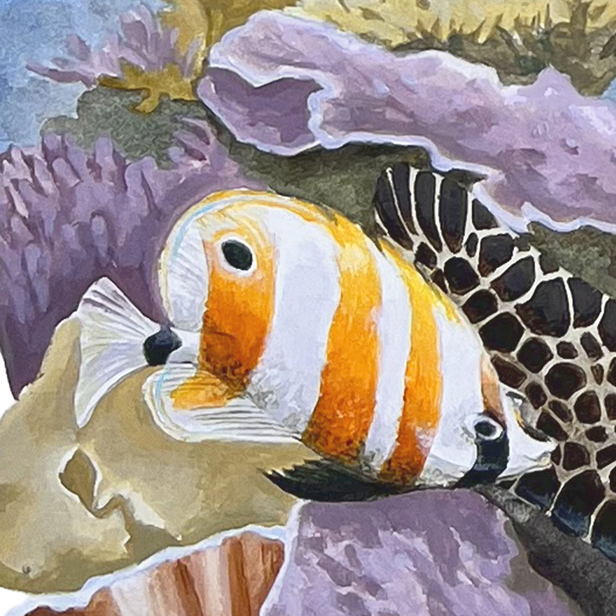 Komodo Turtle - detail fish a.jpg